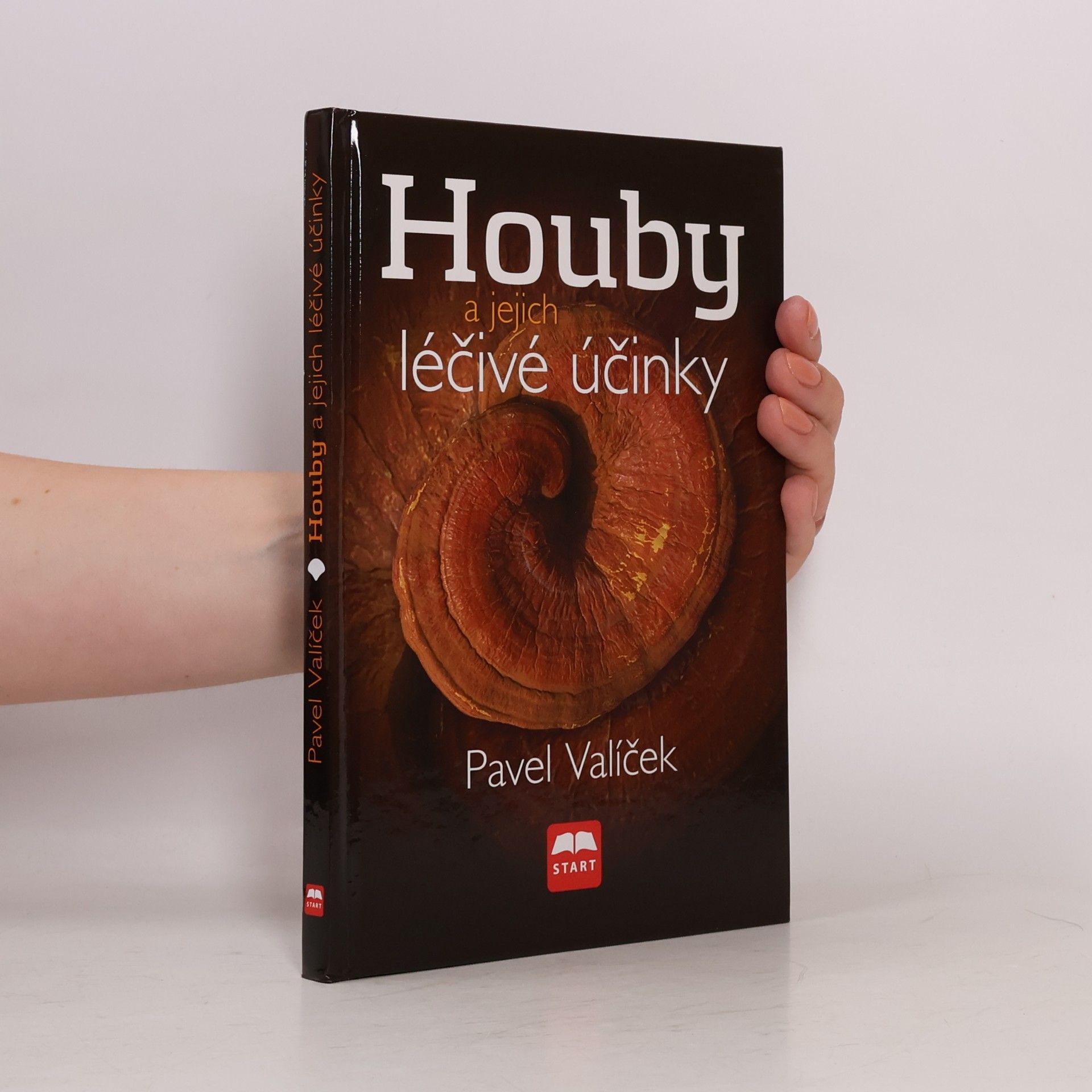 Houby a jejich léčivé účinky