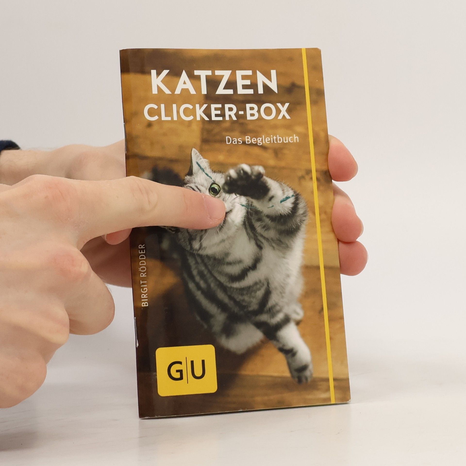 Birgit Rödder Katzen-Clicker-Box