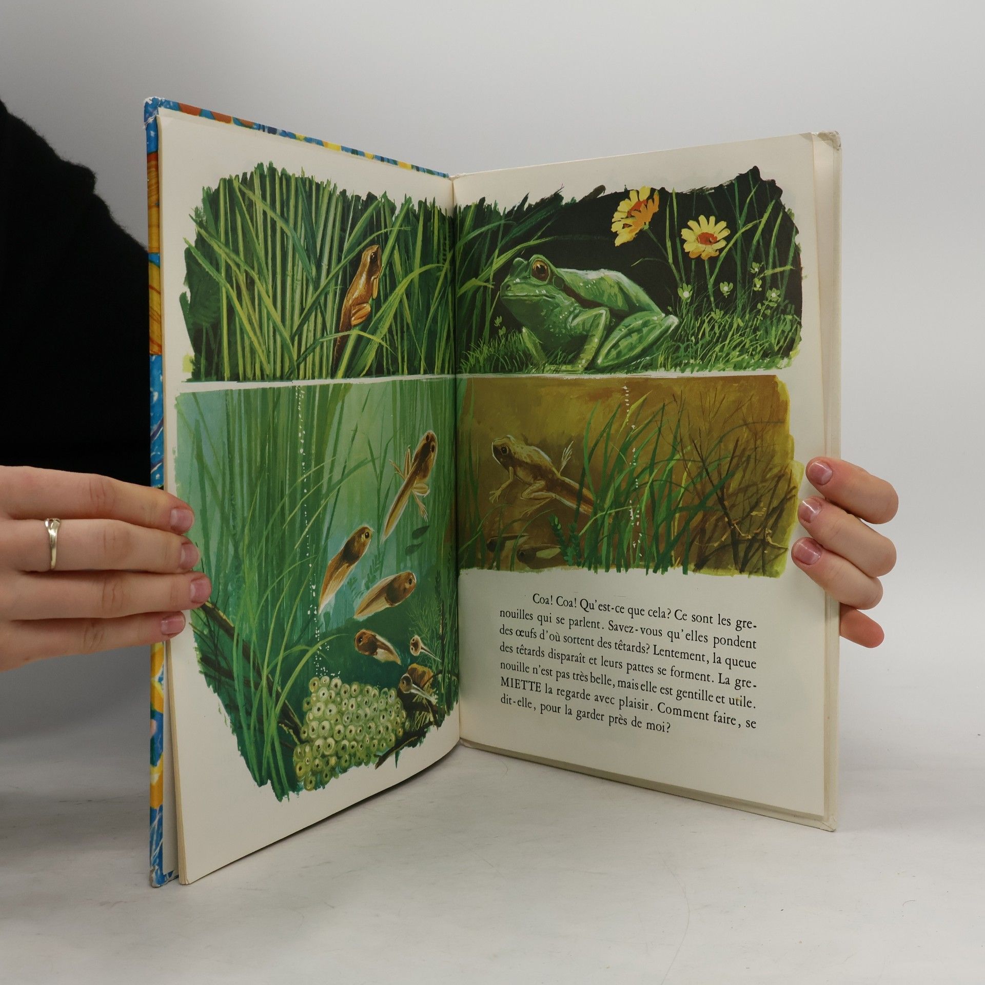 Autores varios Les animaux du jardin