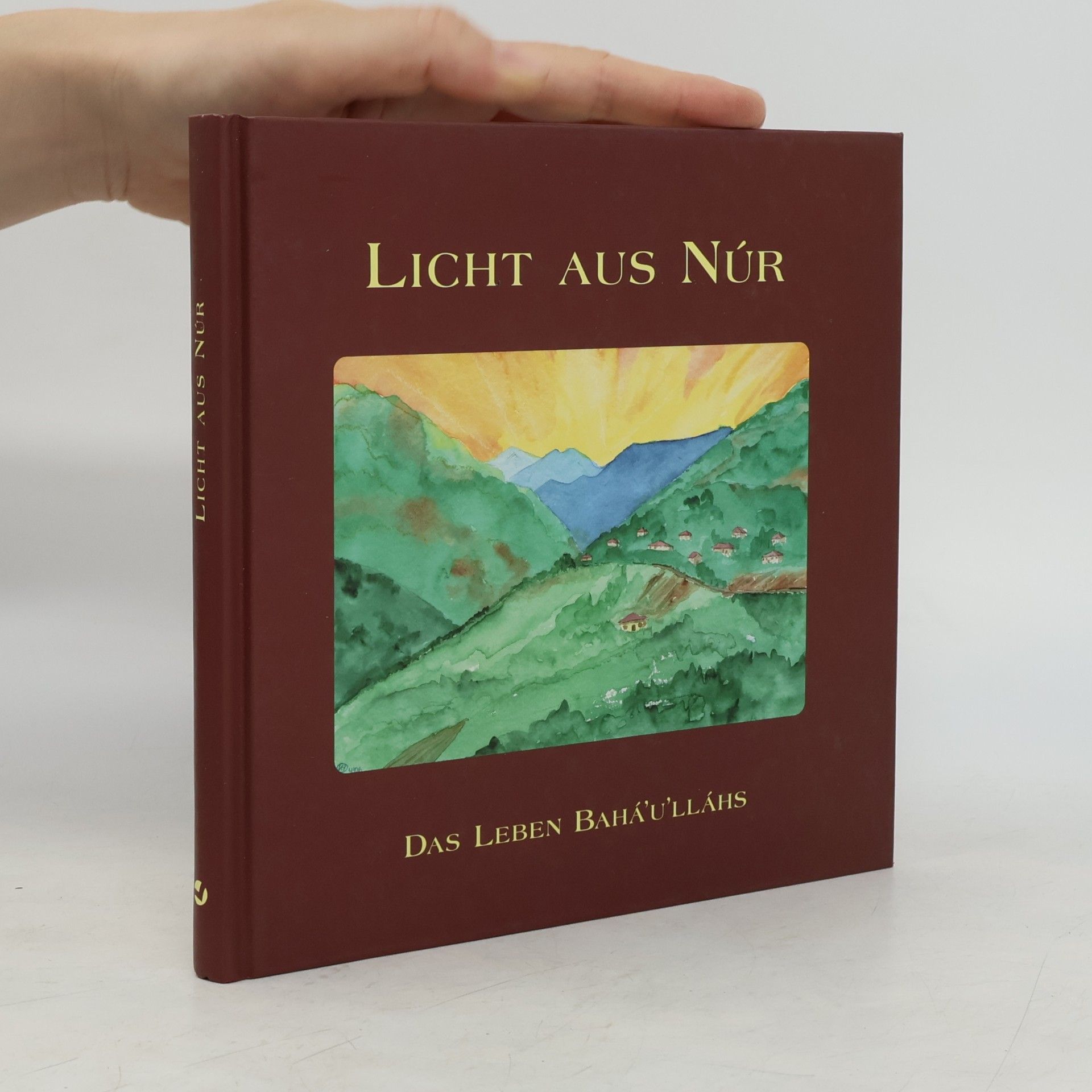 Hermine Mayer-Berdjis Licht aus Núr