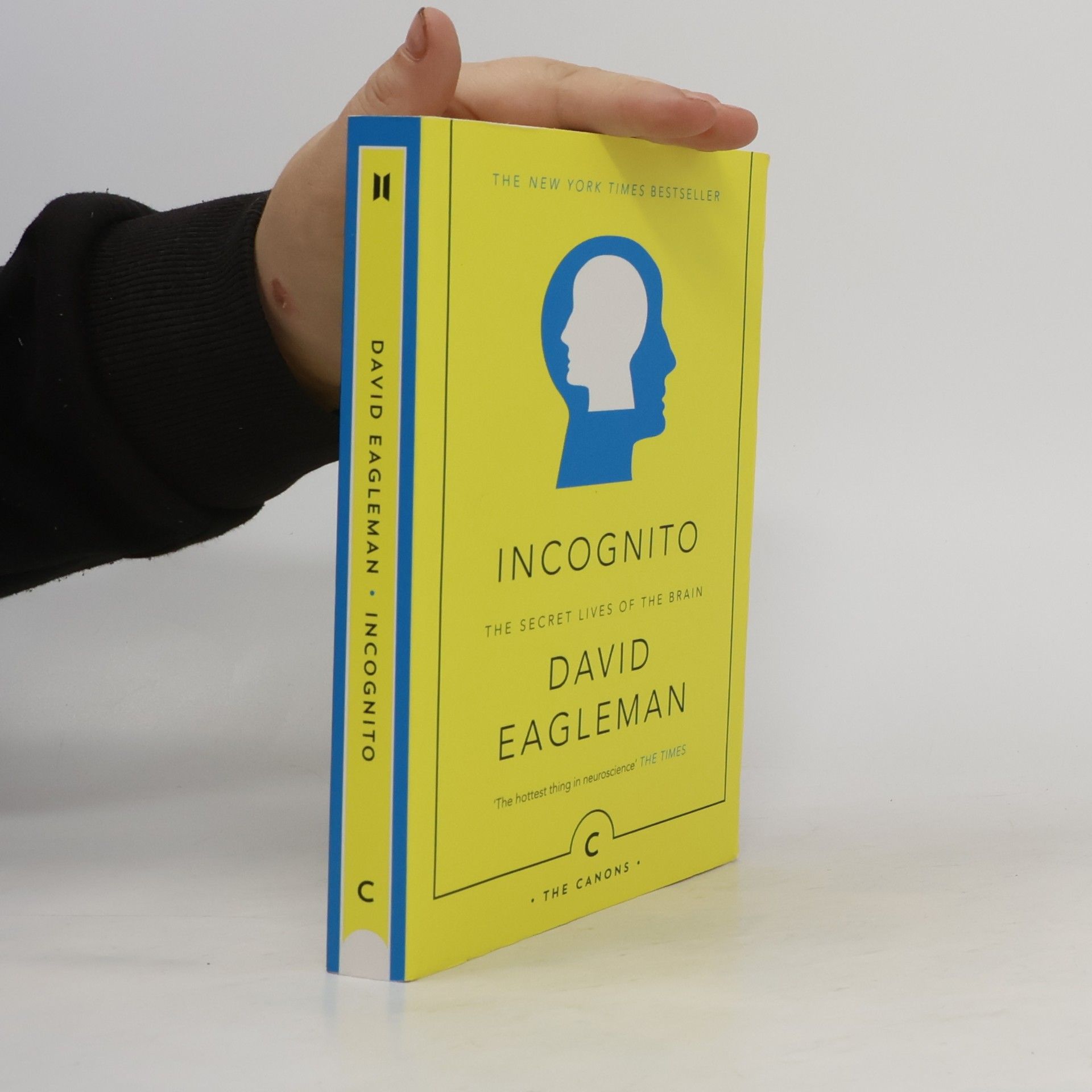 David Eagleman Incognito