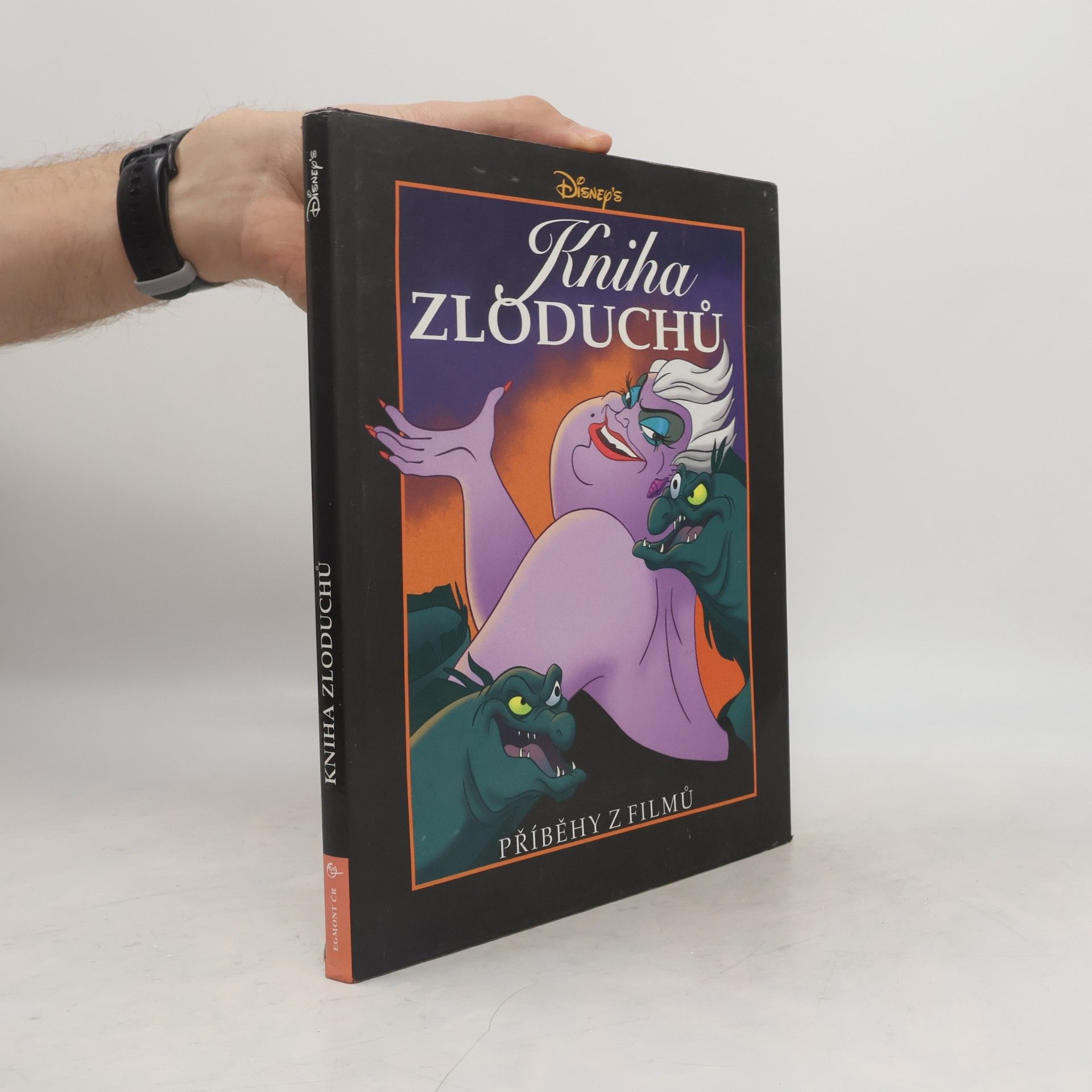 Gil DiCicco Kniha zloduchů : Příběhy z [Disneyových animovaných] filmů