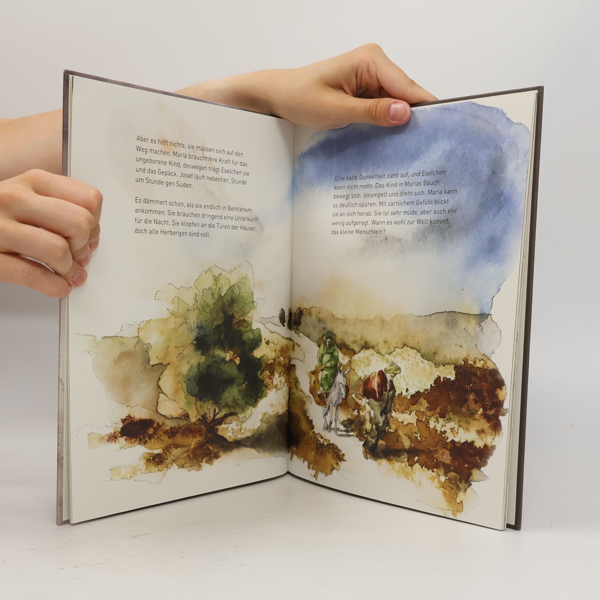 Anne Steckner Das Baby von Bethlehem