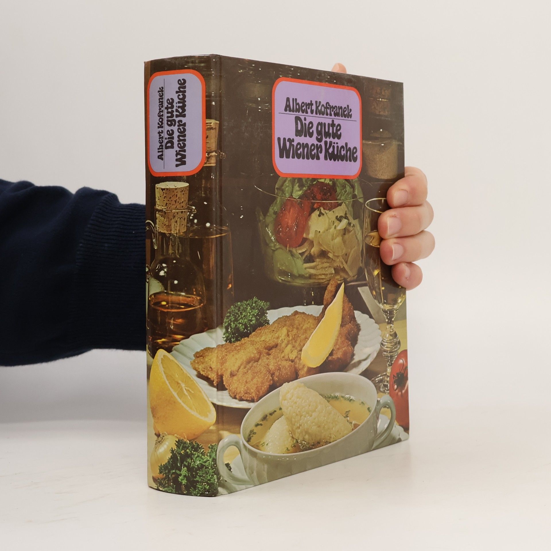 Albert Kofranek Die gute Wiener Küche