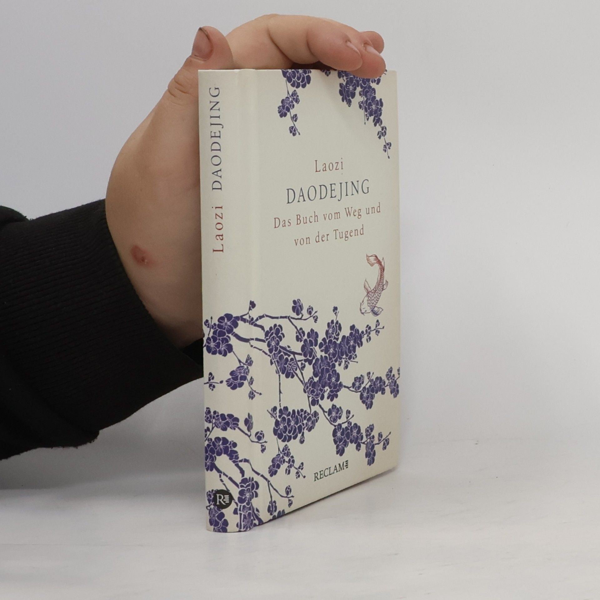 Lao Zi Daodejing