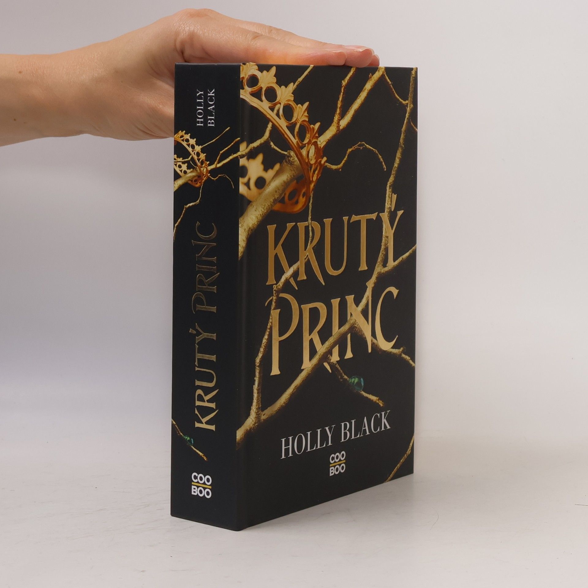 Holly Black Krutý princ