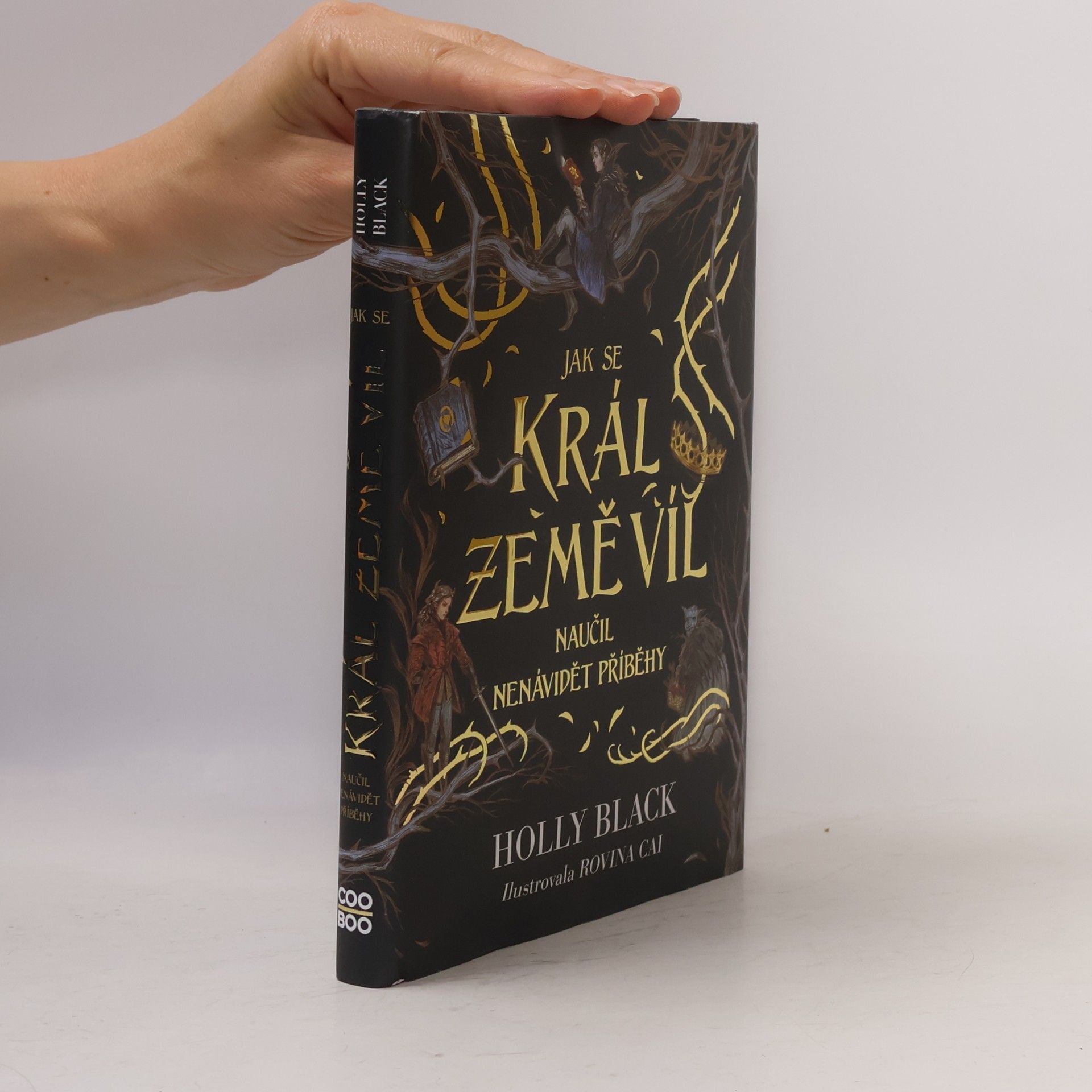 Holly Black Jak se král Země víl naučil nenávidět příběhy