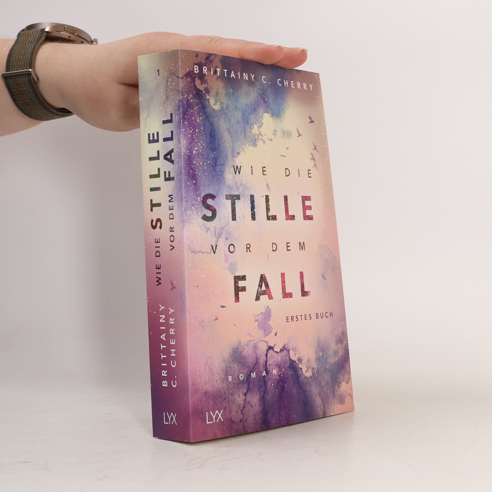 Brittainy C. Cherry Wie die Stille vor dem Fall