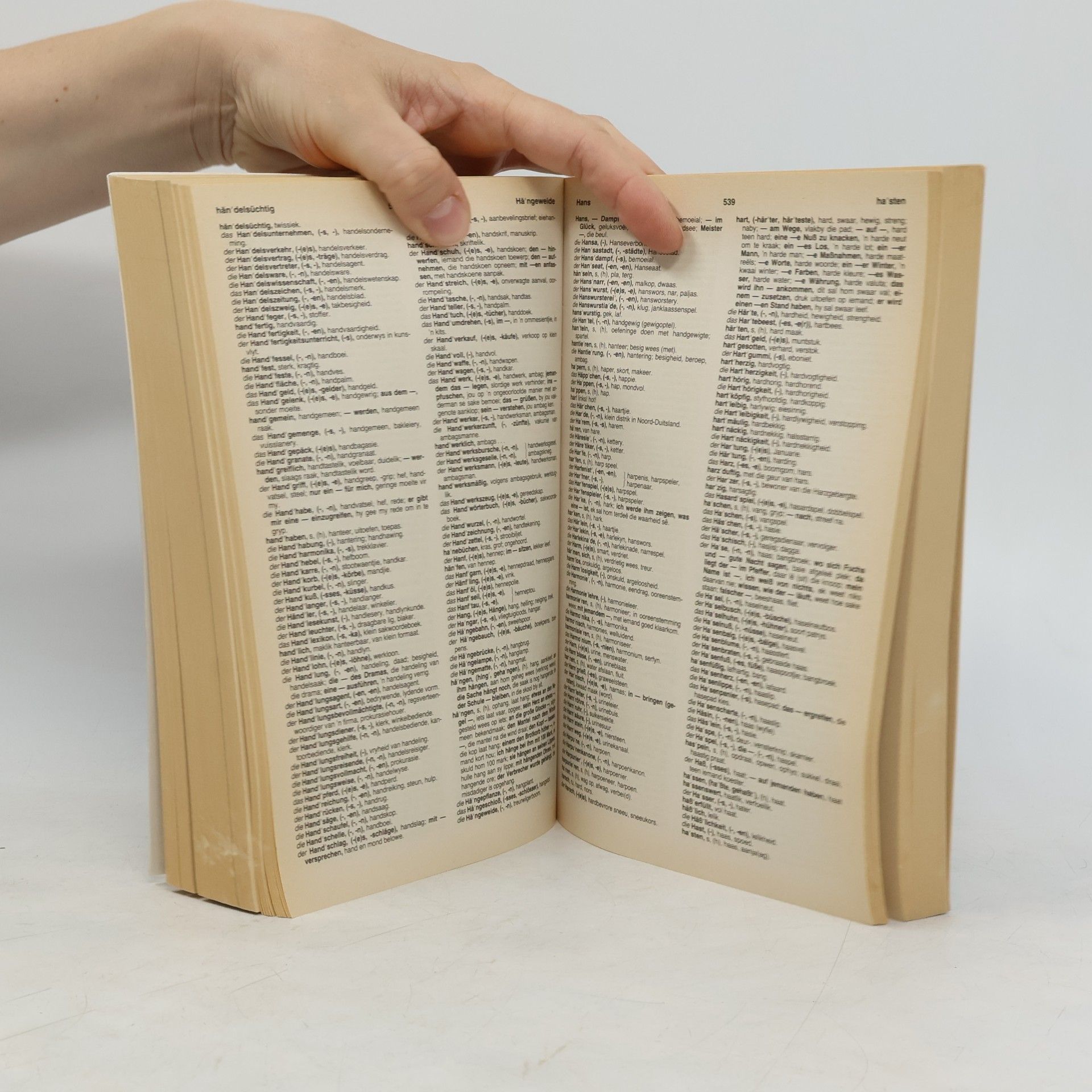 Georg Paul Johannes Trümpelmann Woordeboek Wörterbuch