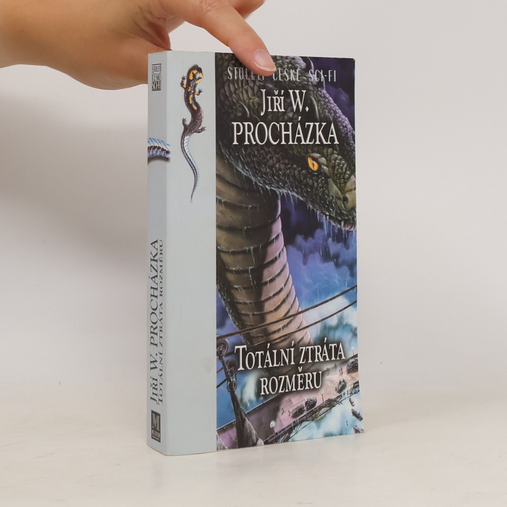 Jiří Walker Procházka Totální ztráta rozměru