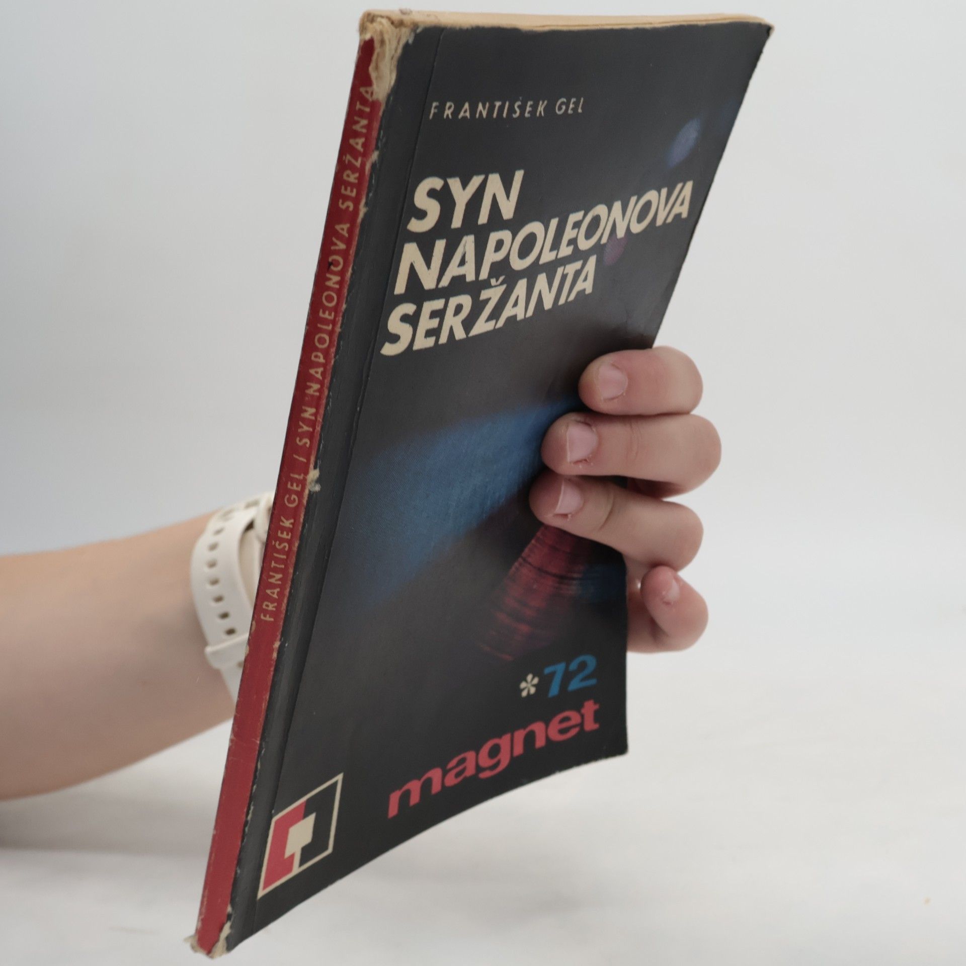 František Gel Syn Napoleonova seržanta