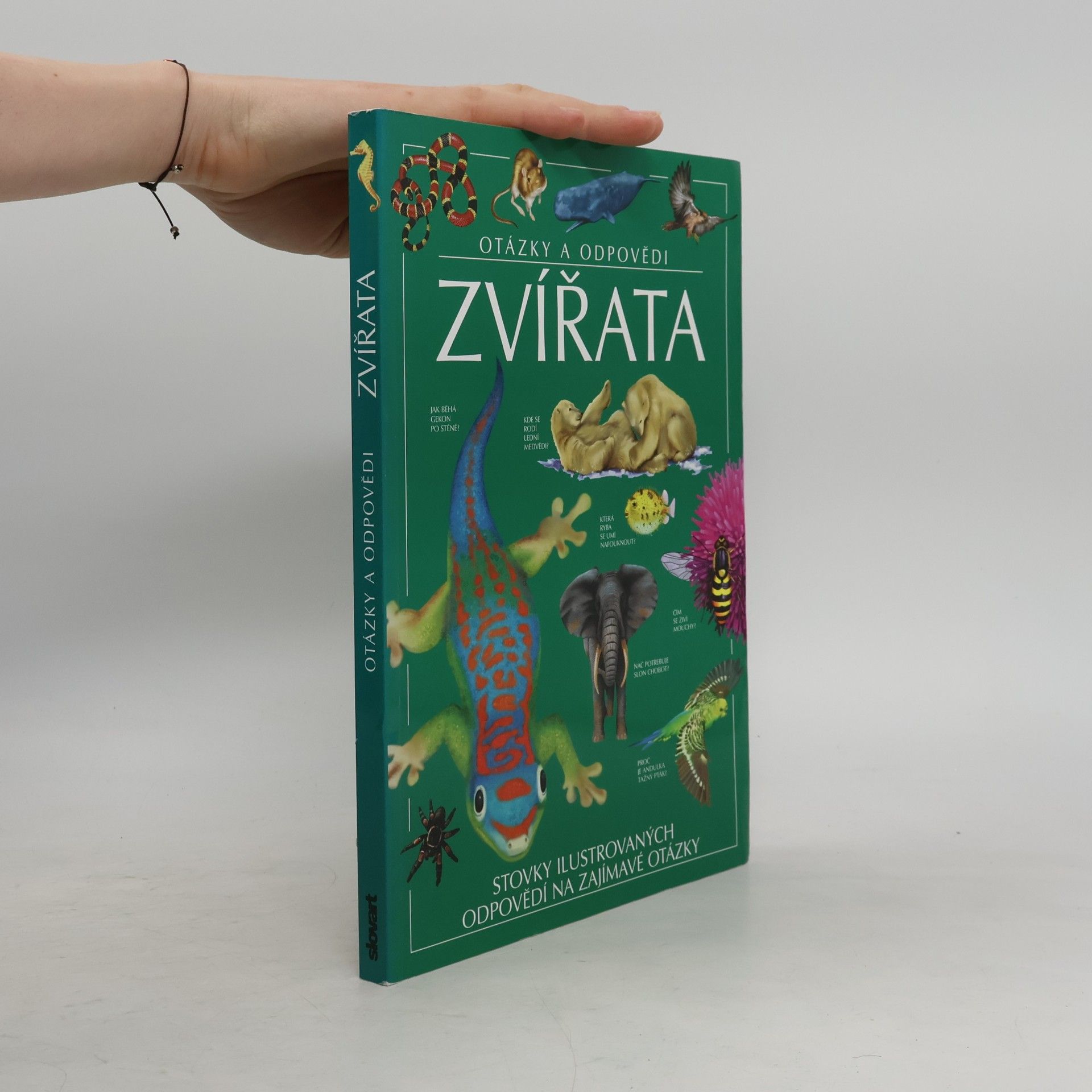 Jen Green Zvířata: Otázky a odpovědi