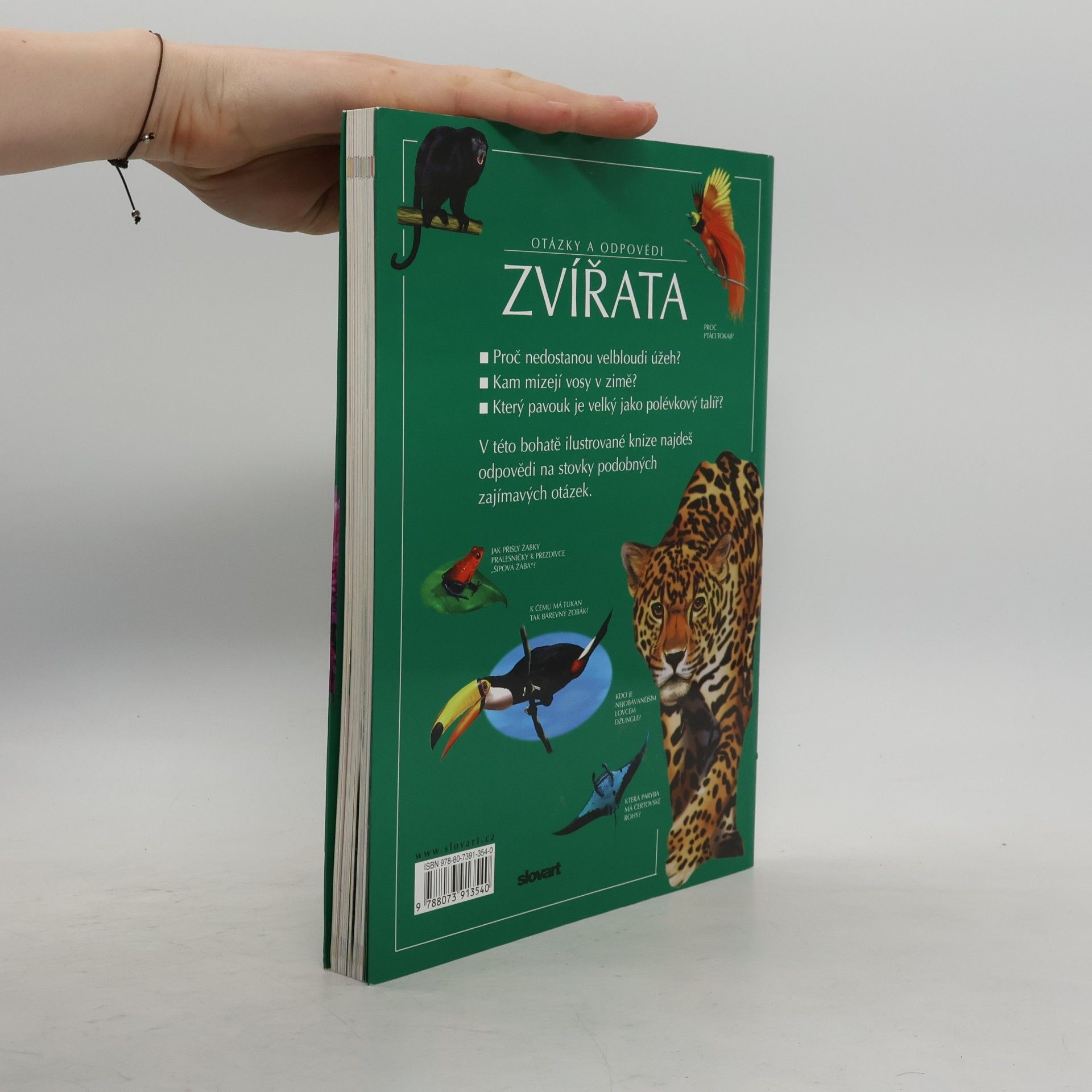Jen Green Zvířata: Otázky a odpovědi