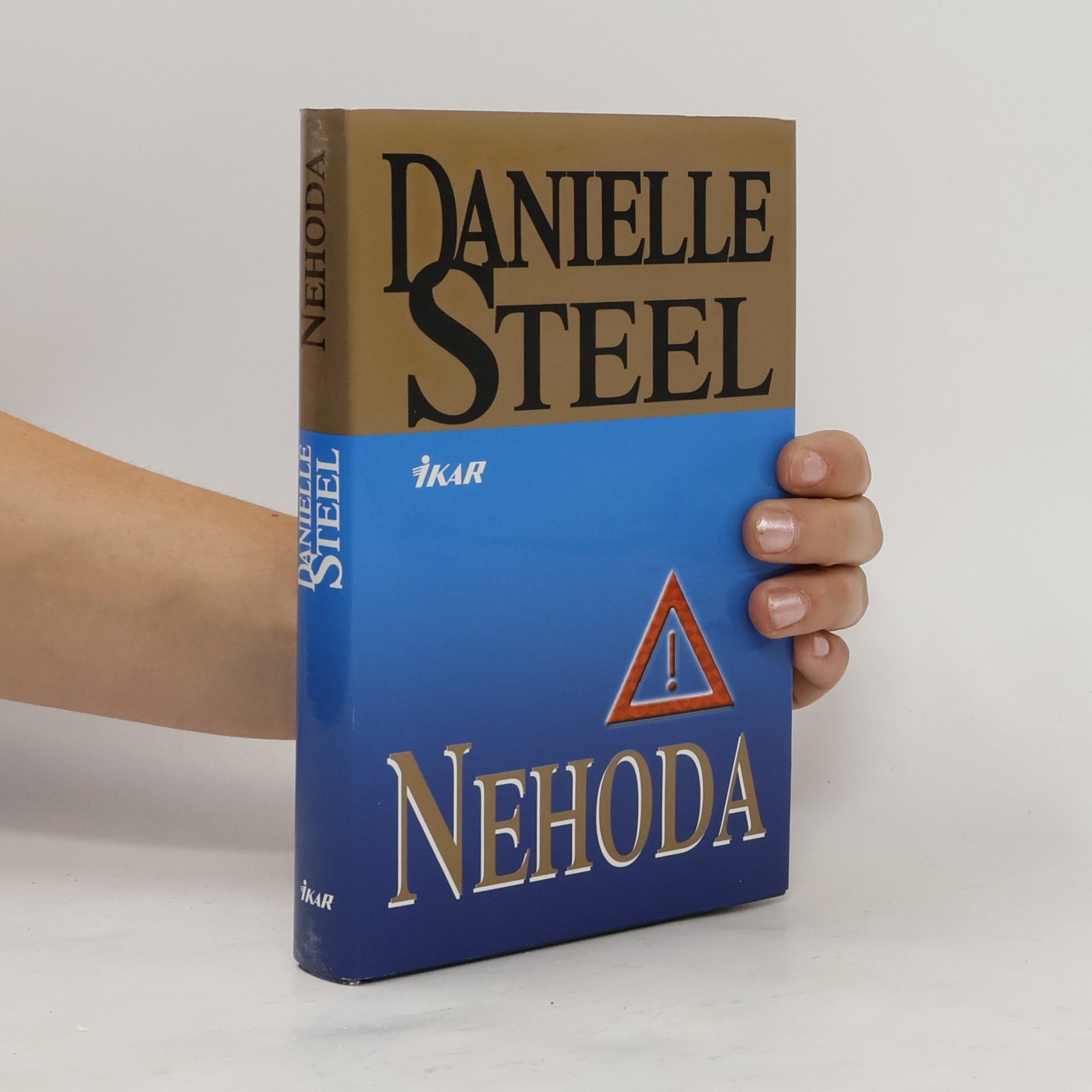 Danielle Steel Nehoda