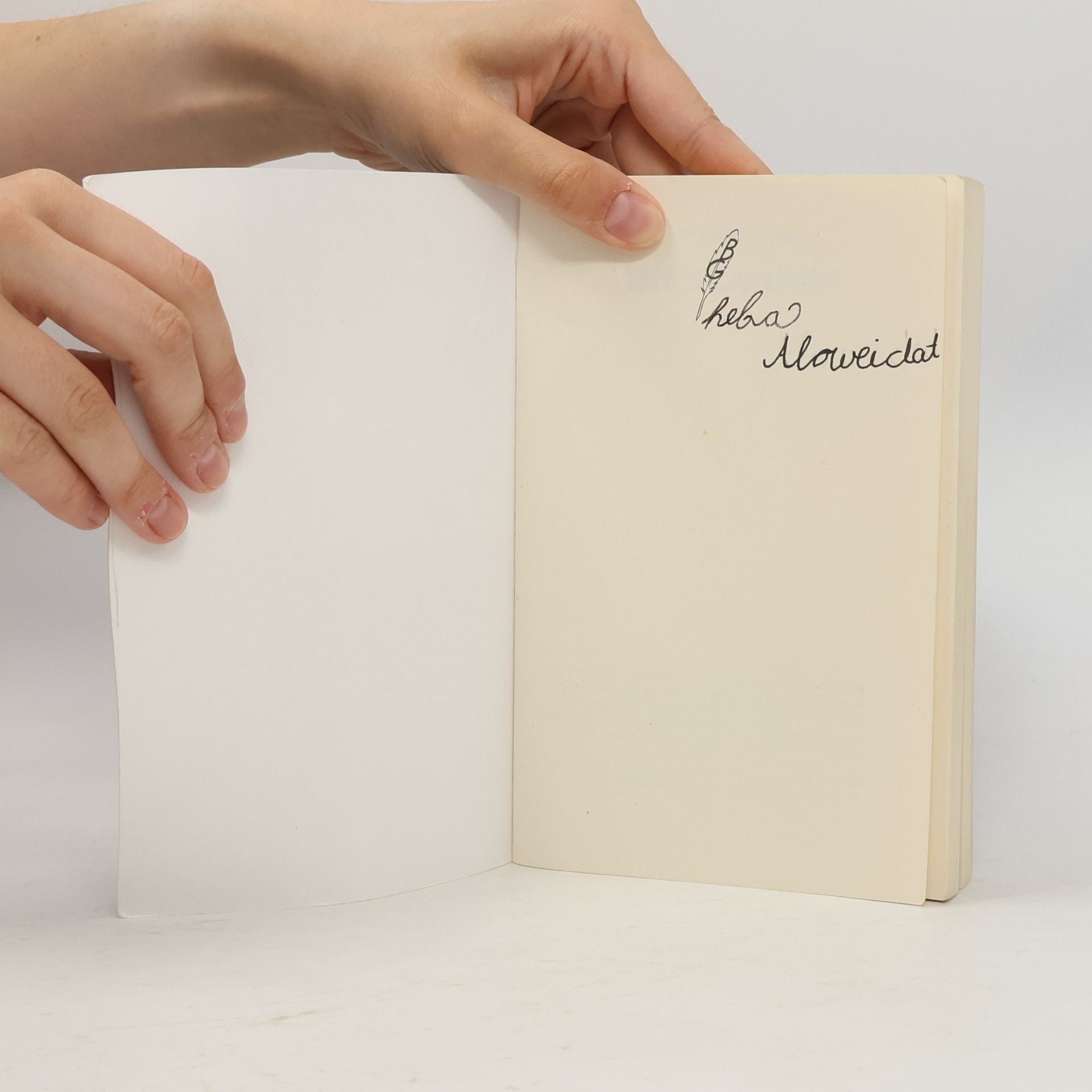 Robert M. Sonntag Die Scanner