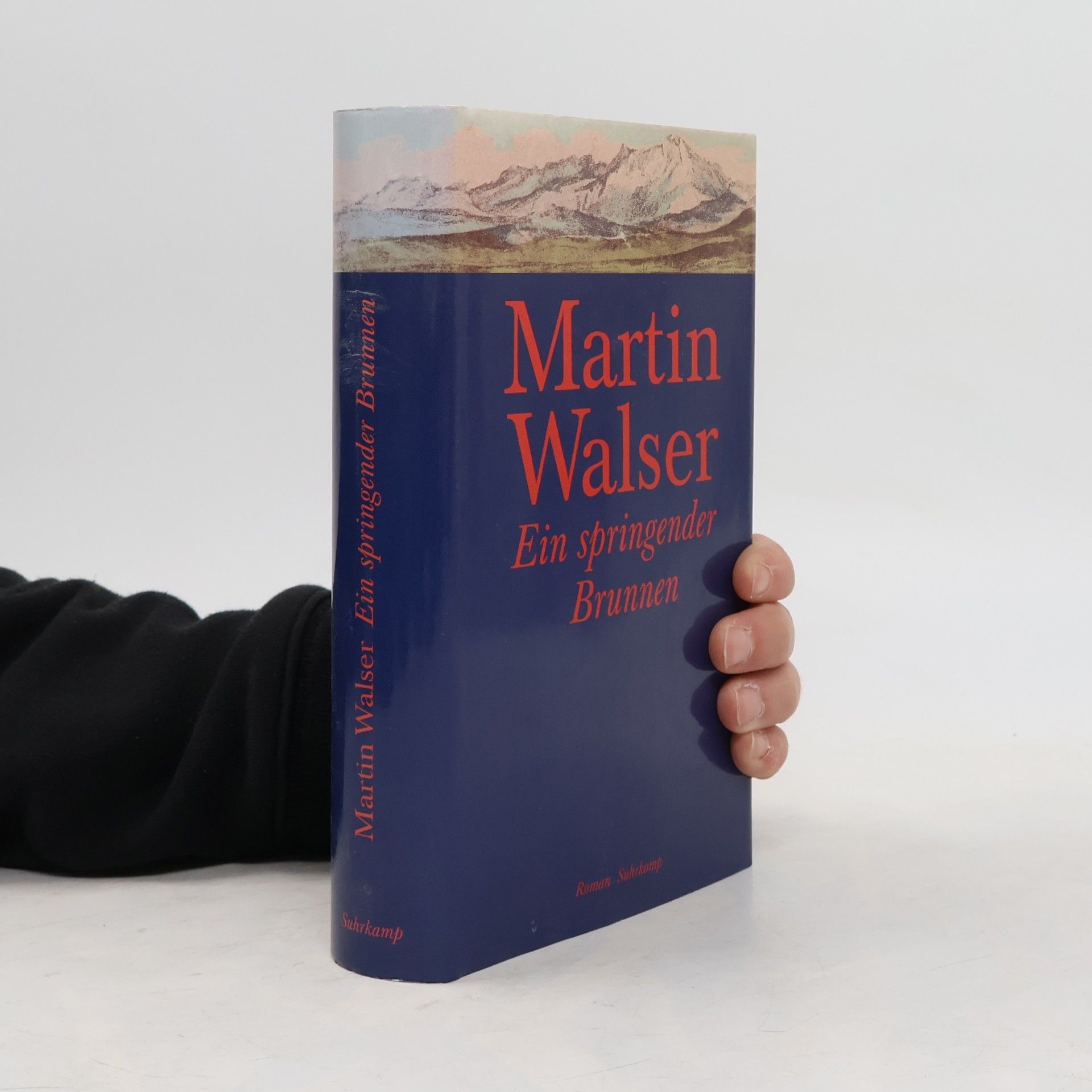 Martin Walser Ein springender Brunnen