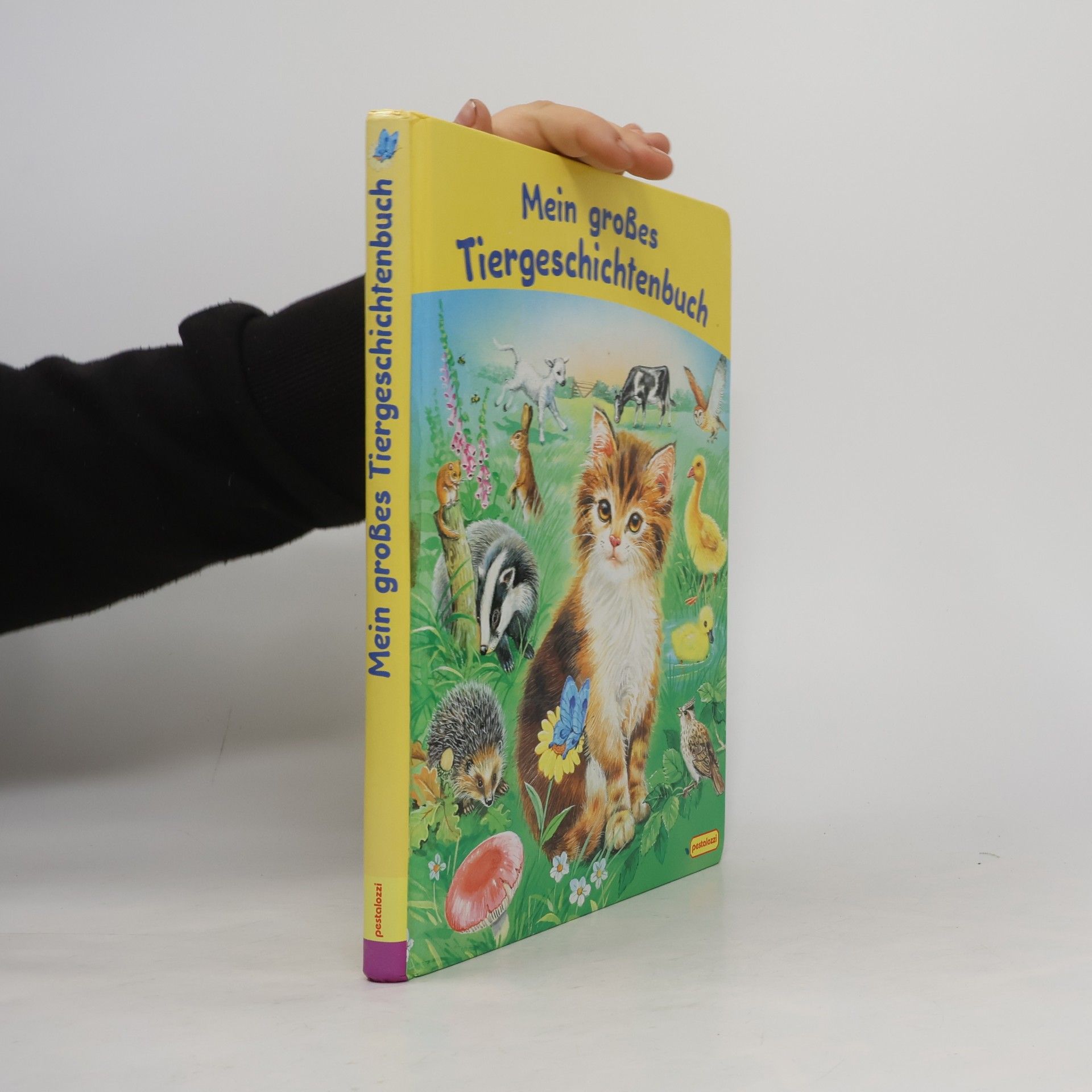 Autorenkollektiv Mein grosses Tiergeschichtenbuch