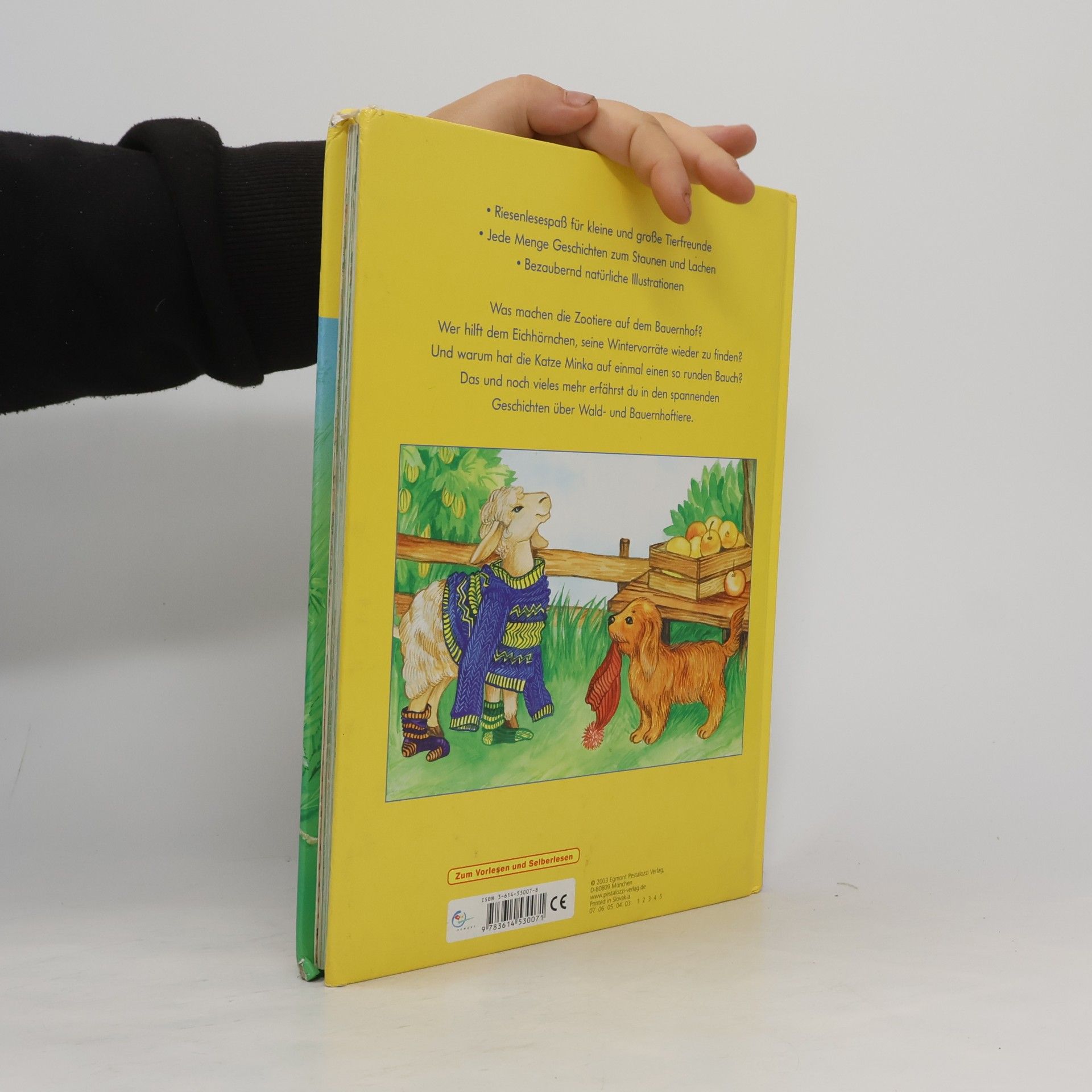 Autorenkollektiv Mein grosses Tiergeschichtenbuch