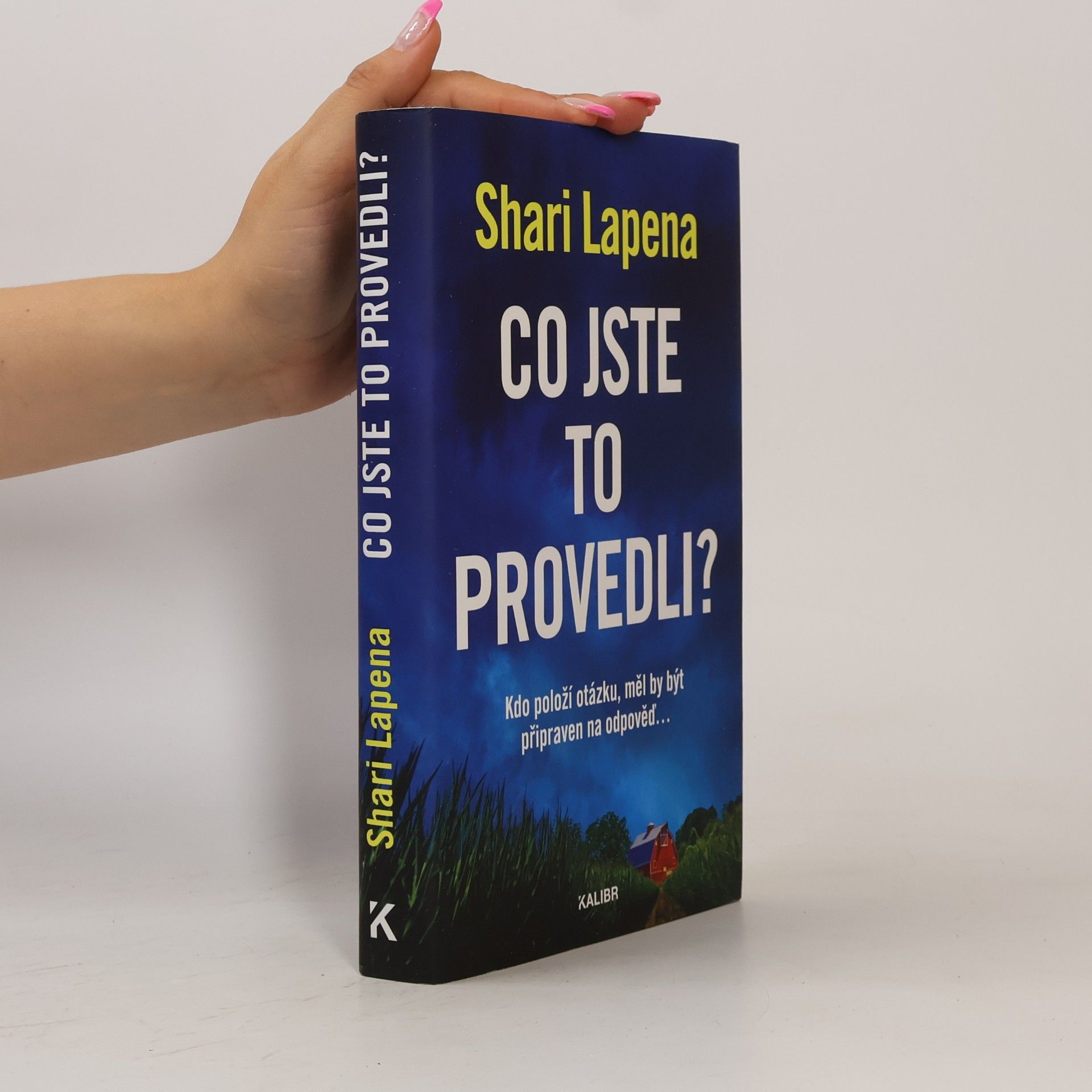 Shari Lapena Co jste to provedli?