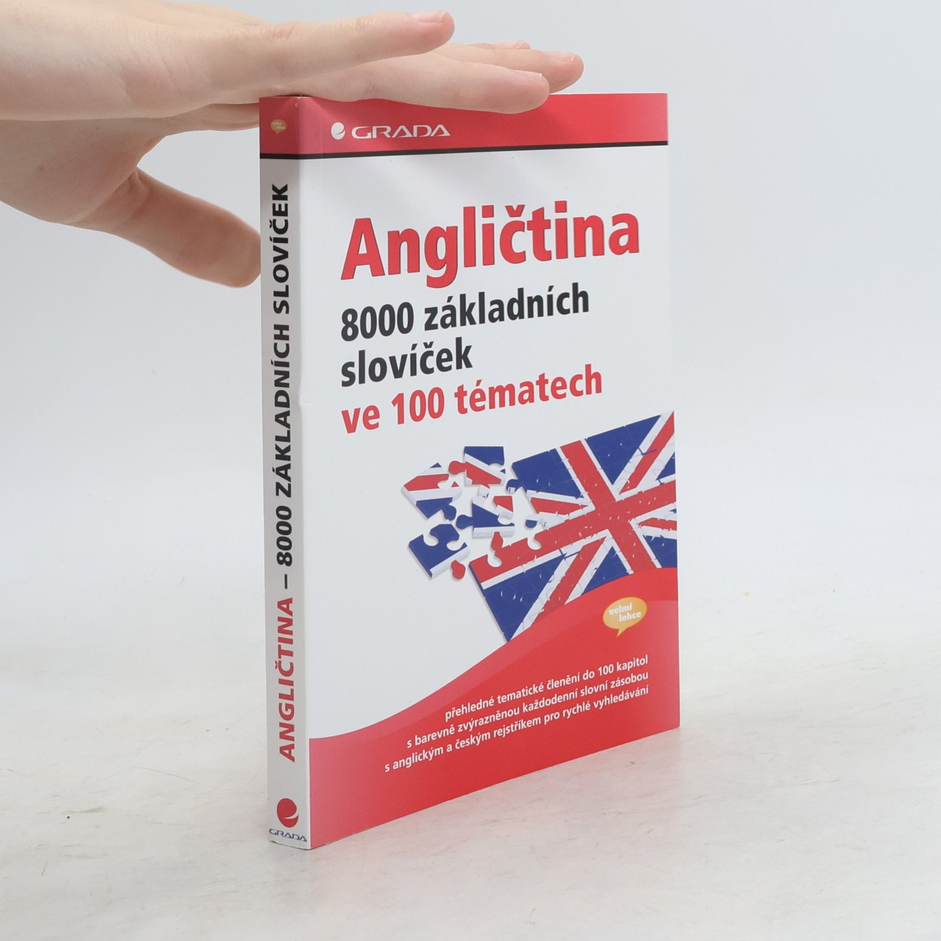 Angličtina. 8000 základních slovíček ve 100 tématech