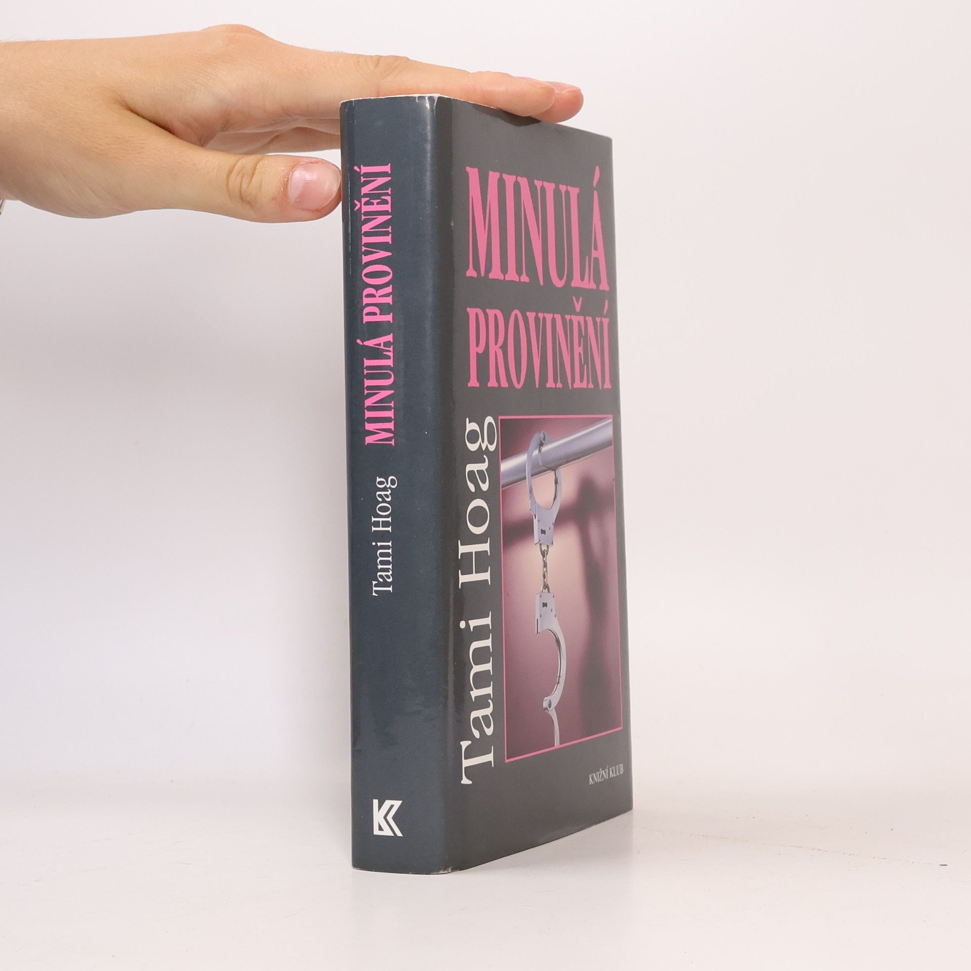Tami Hoag Minulá provinění
