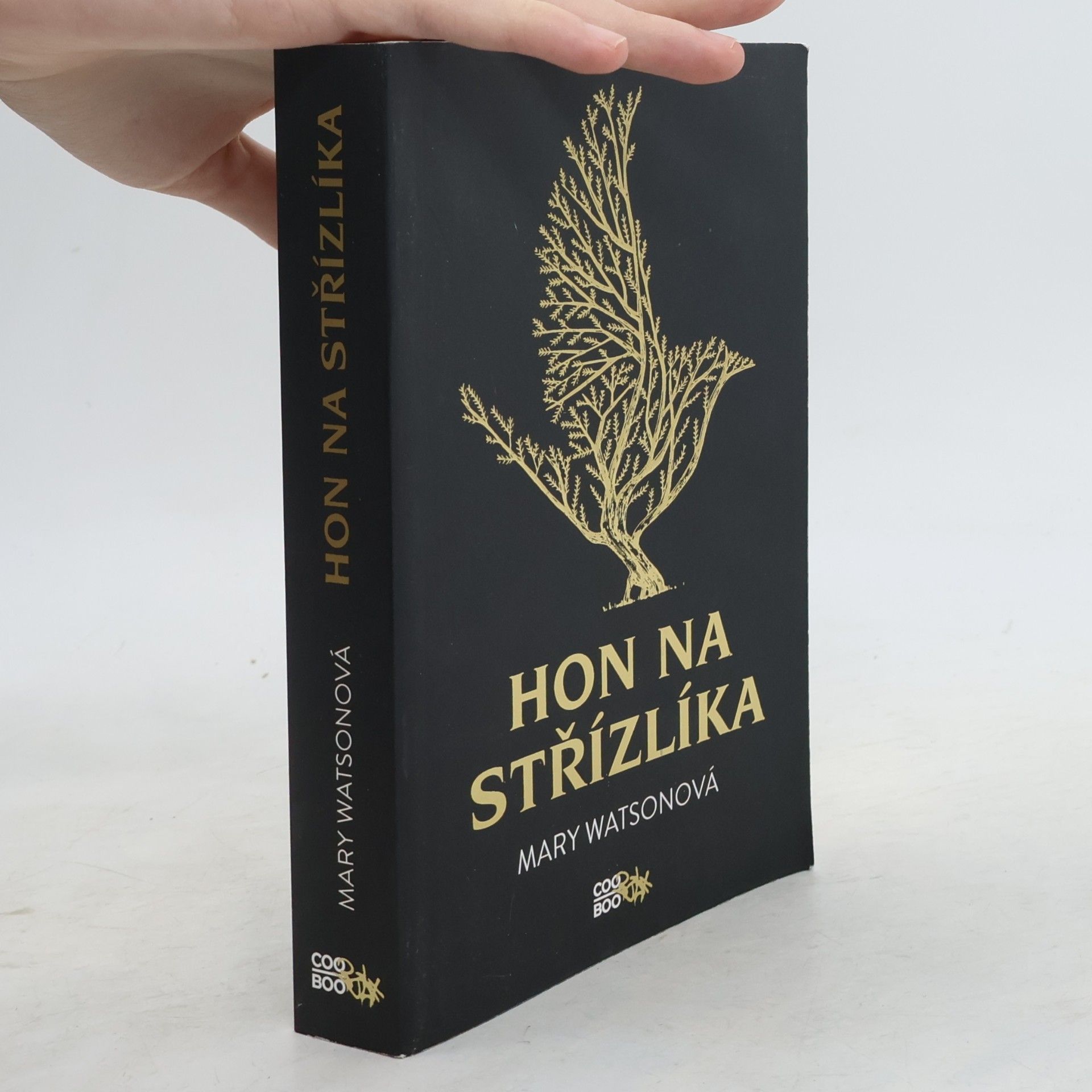 Mary Watson Hon na střízlíka