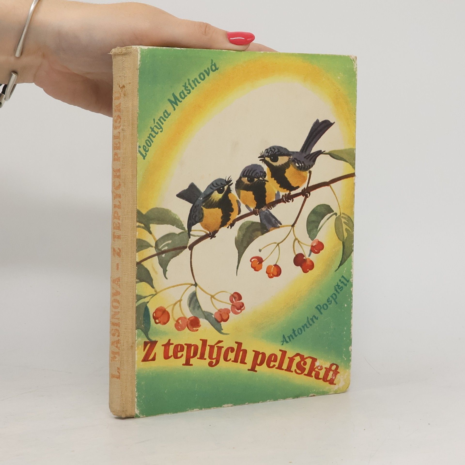 Leontina Mašínová Z teplých pelíšků