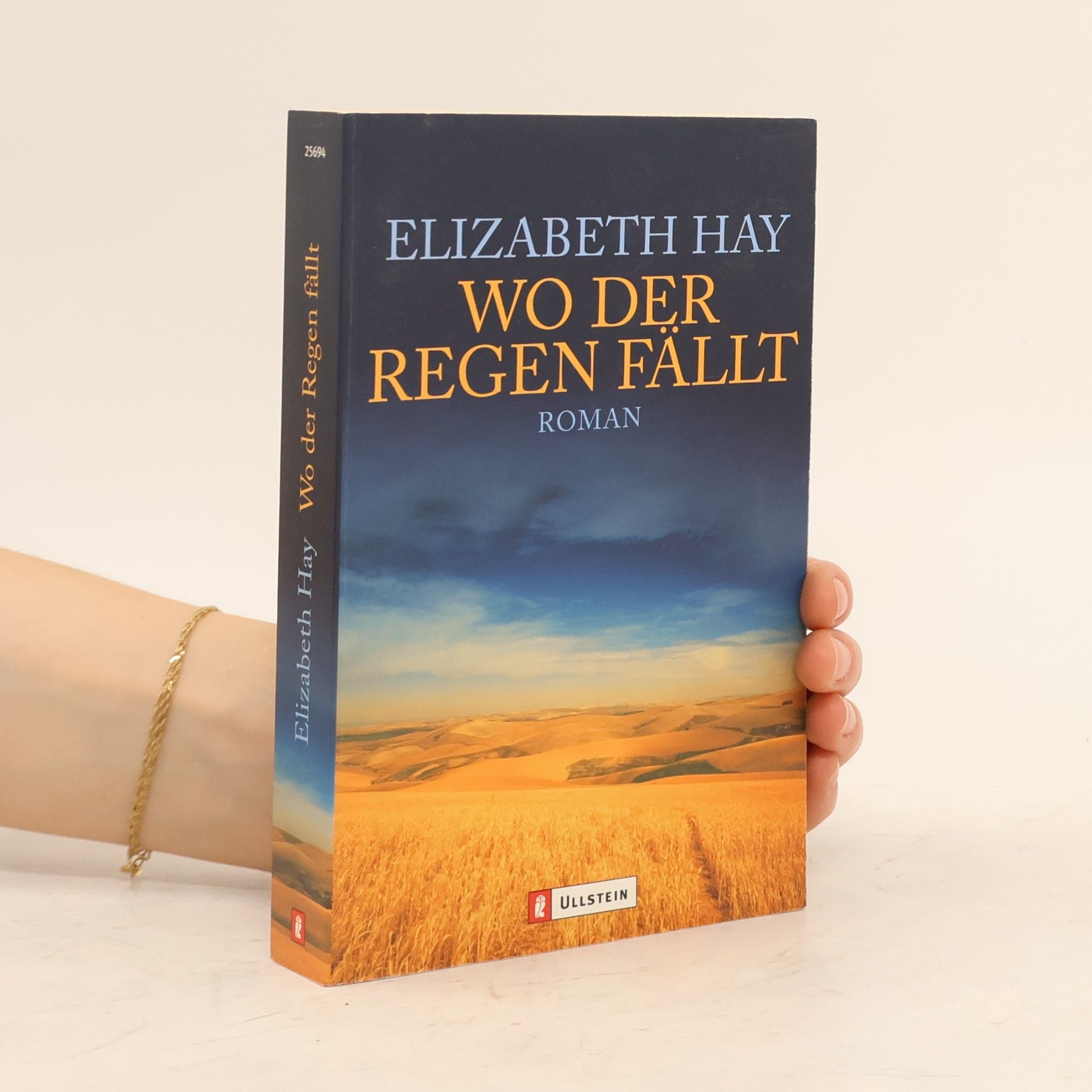 Elizabeth Hay Wo der Regen fällt
