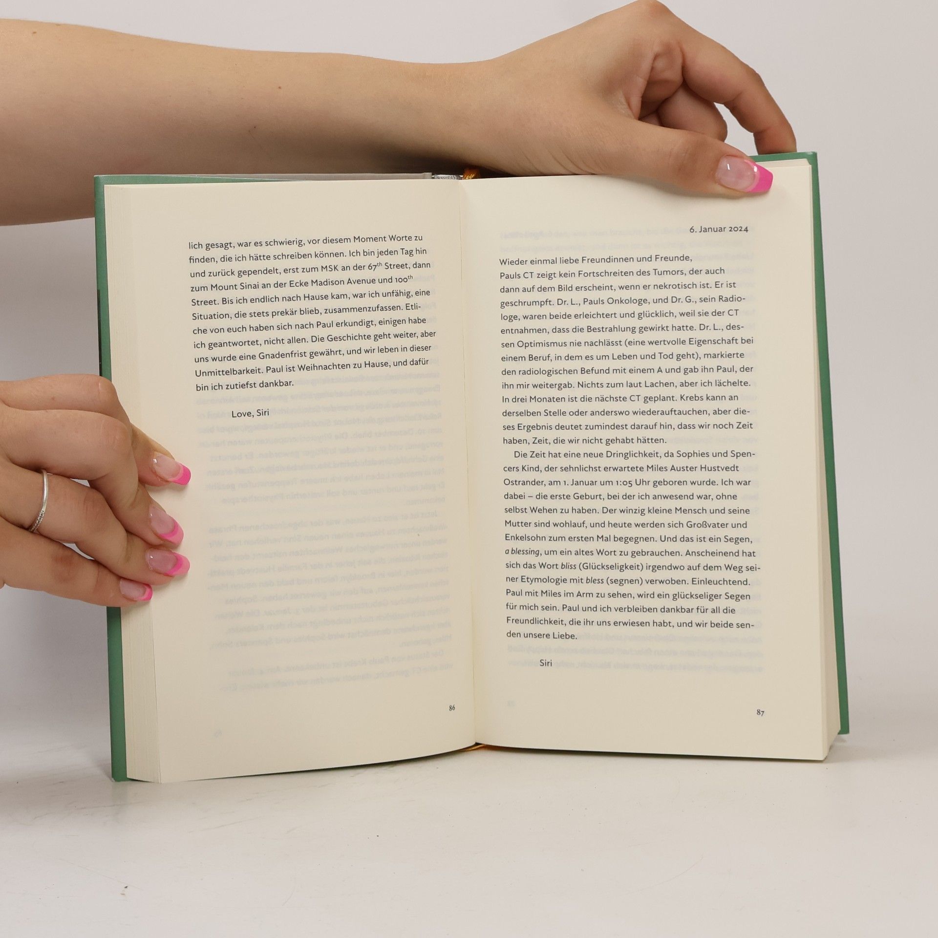 Siri Hustvedt Ghost Stories