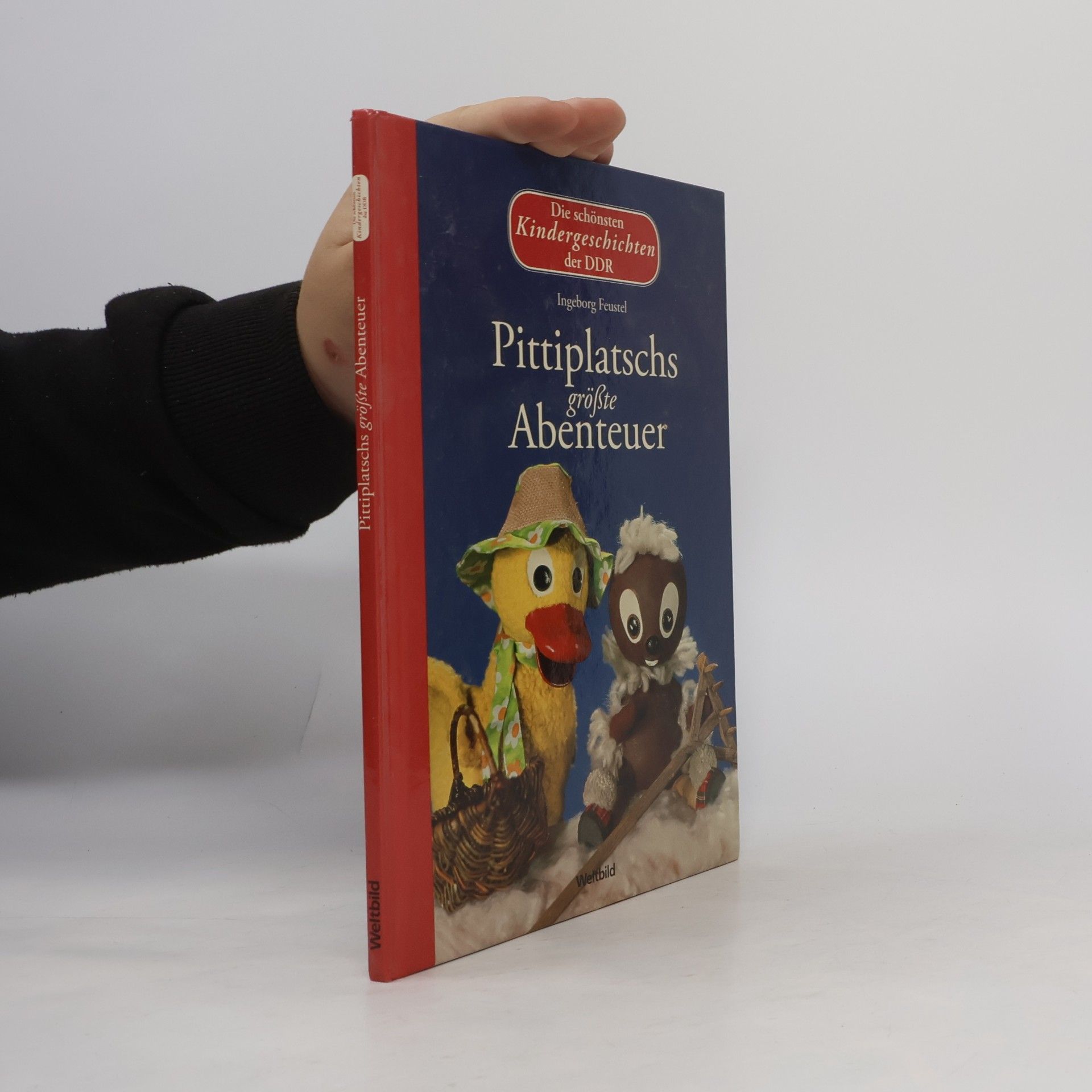 Ingeborg Feustel Pittiplatschs größte Abenteuer - Die schönsten Kindergeschichten der DDR