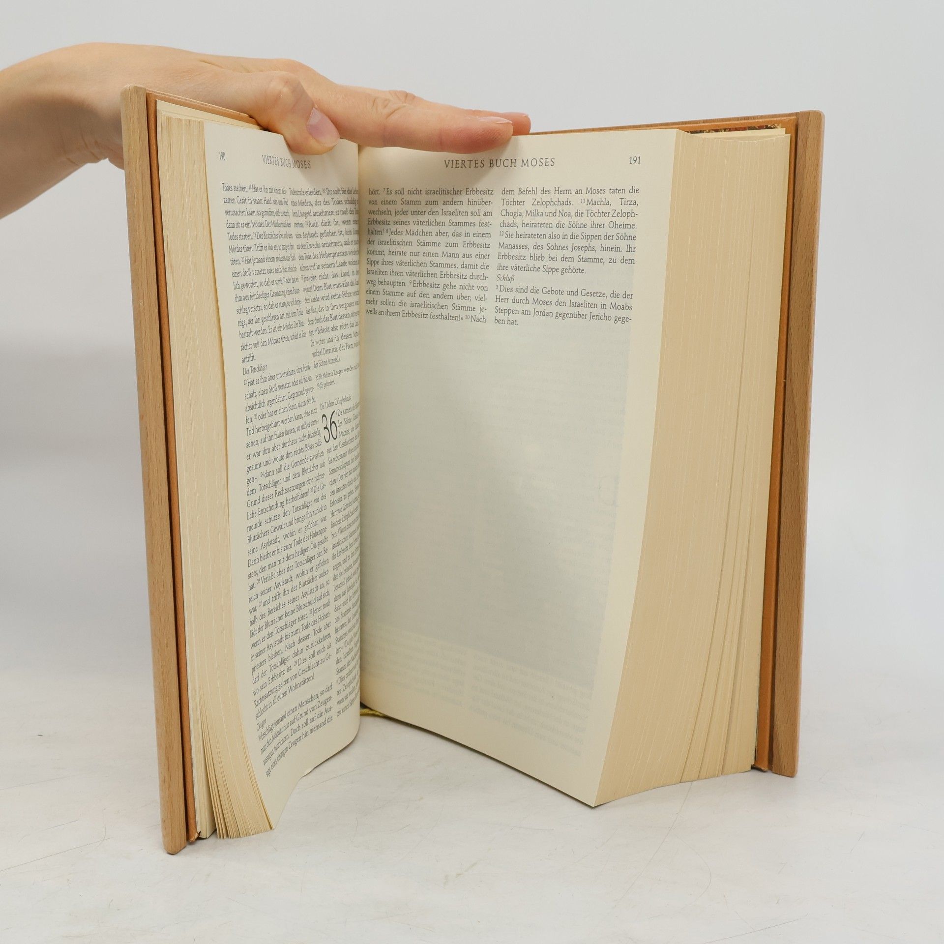 Vinzenz Hamp Die Bibel