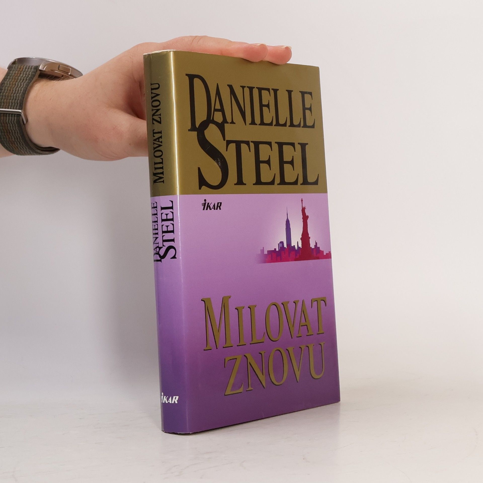 Danielle Steel Milovat znovu