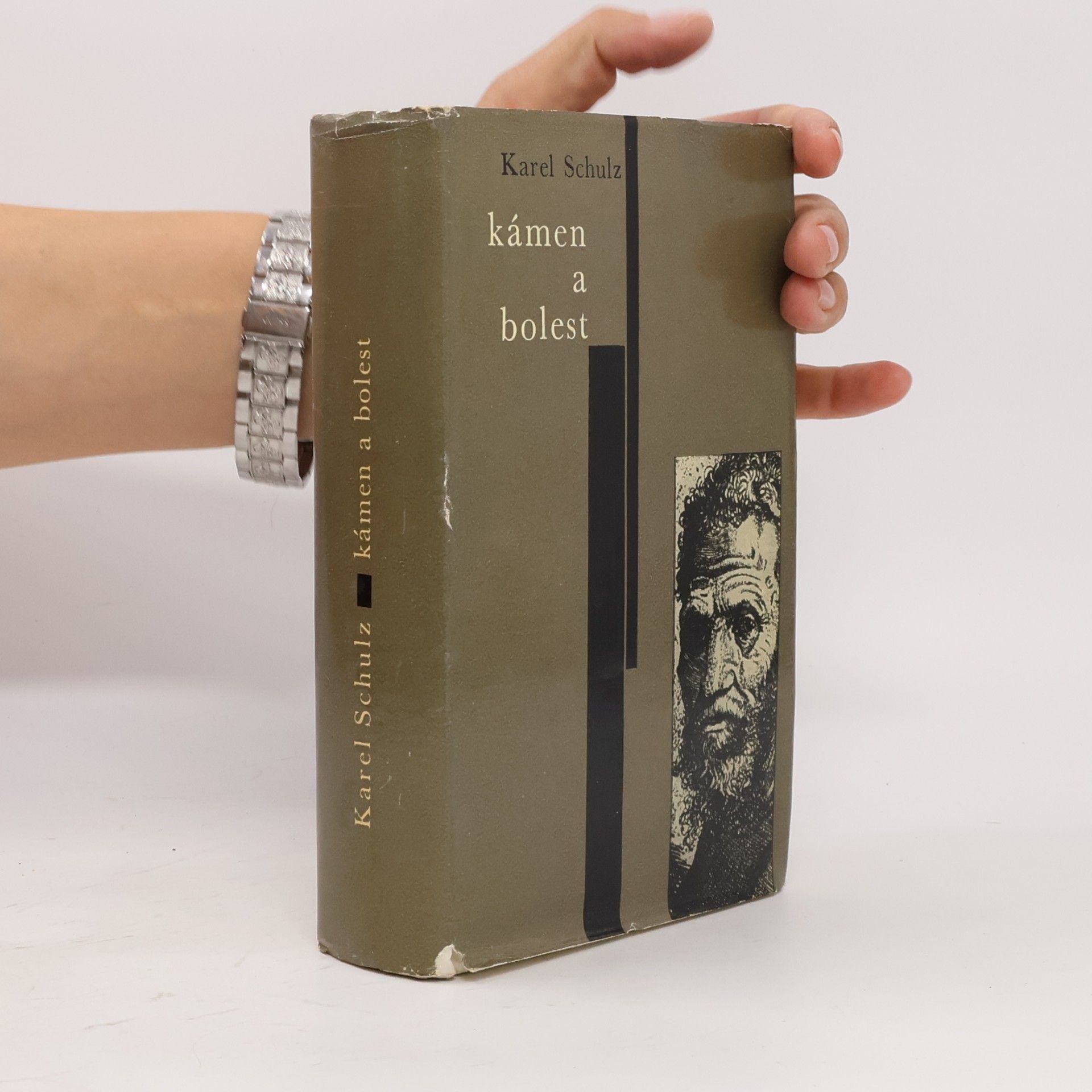 Karel Schulz Kámen a bolest