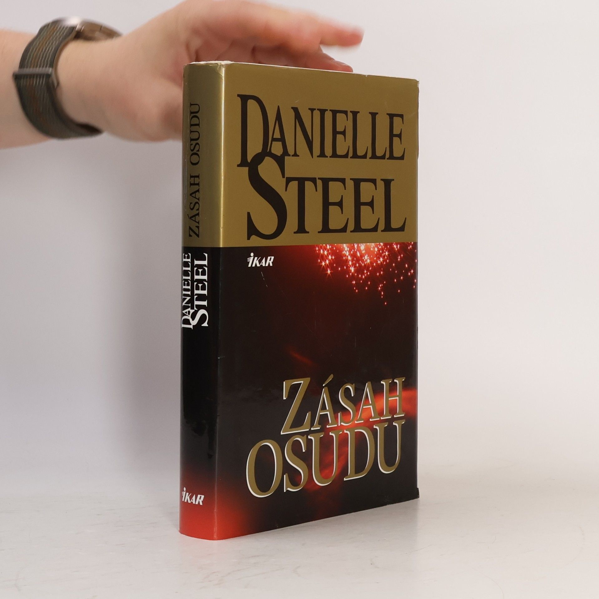 Danielle Steel Zásah osudu