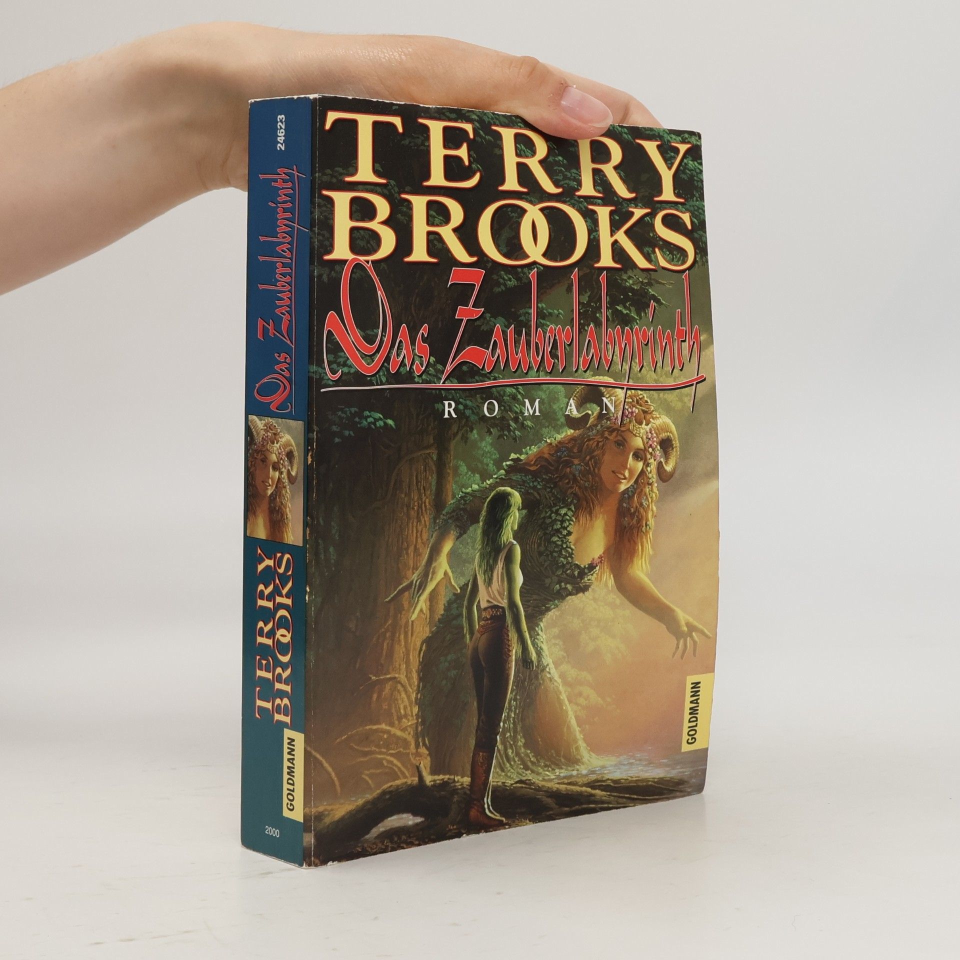 Terry Brooks Das Zauberlabyrinth
