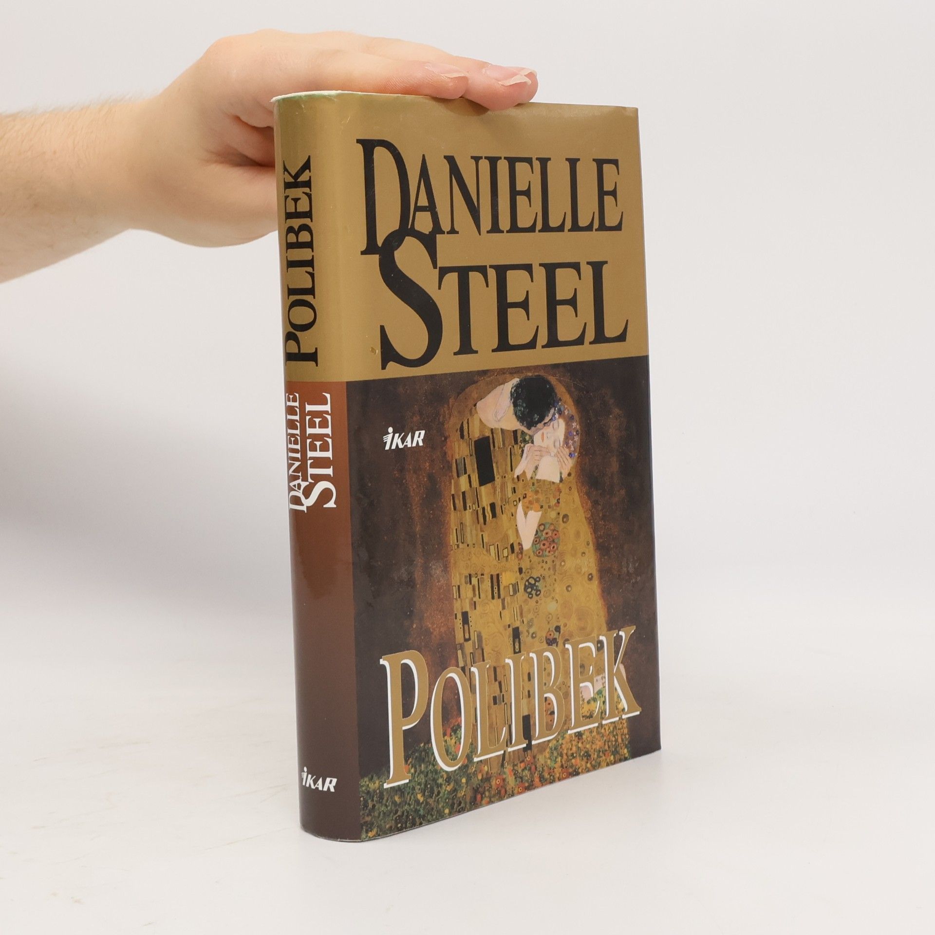 Danielle Steel Polibek