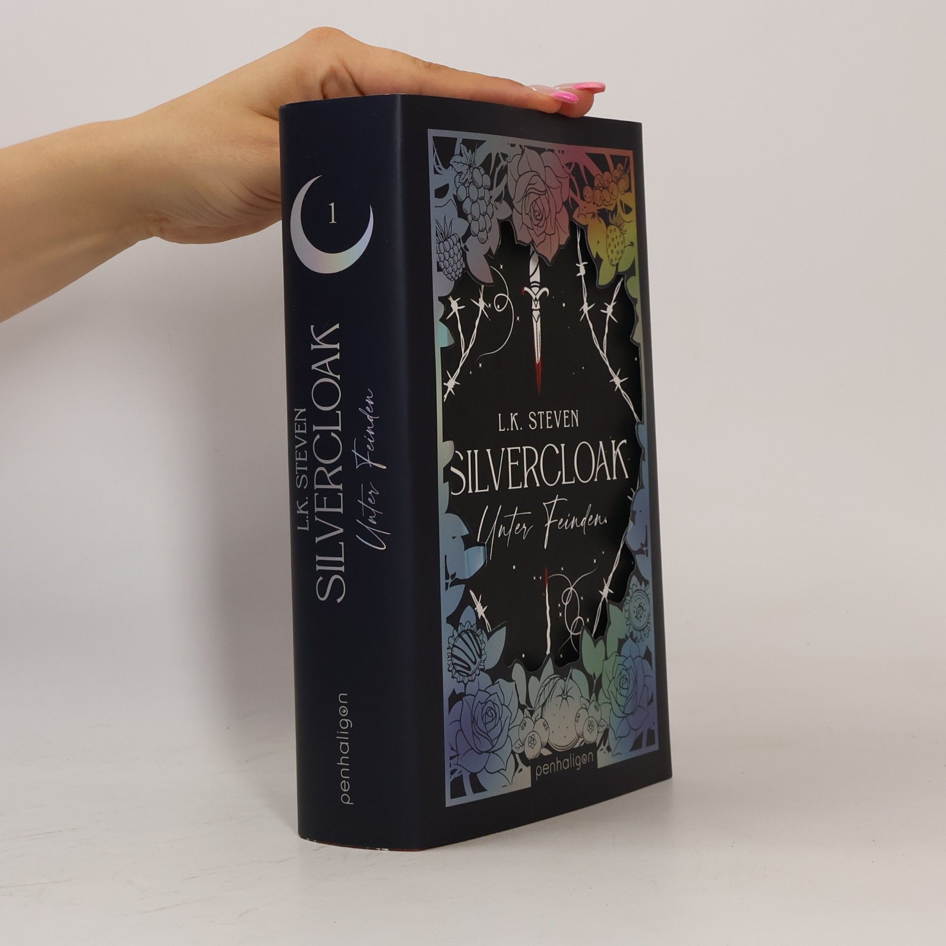 L.K. Steven Silvercloak - Unter Feinden
