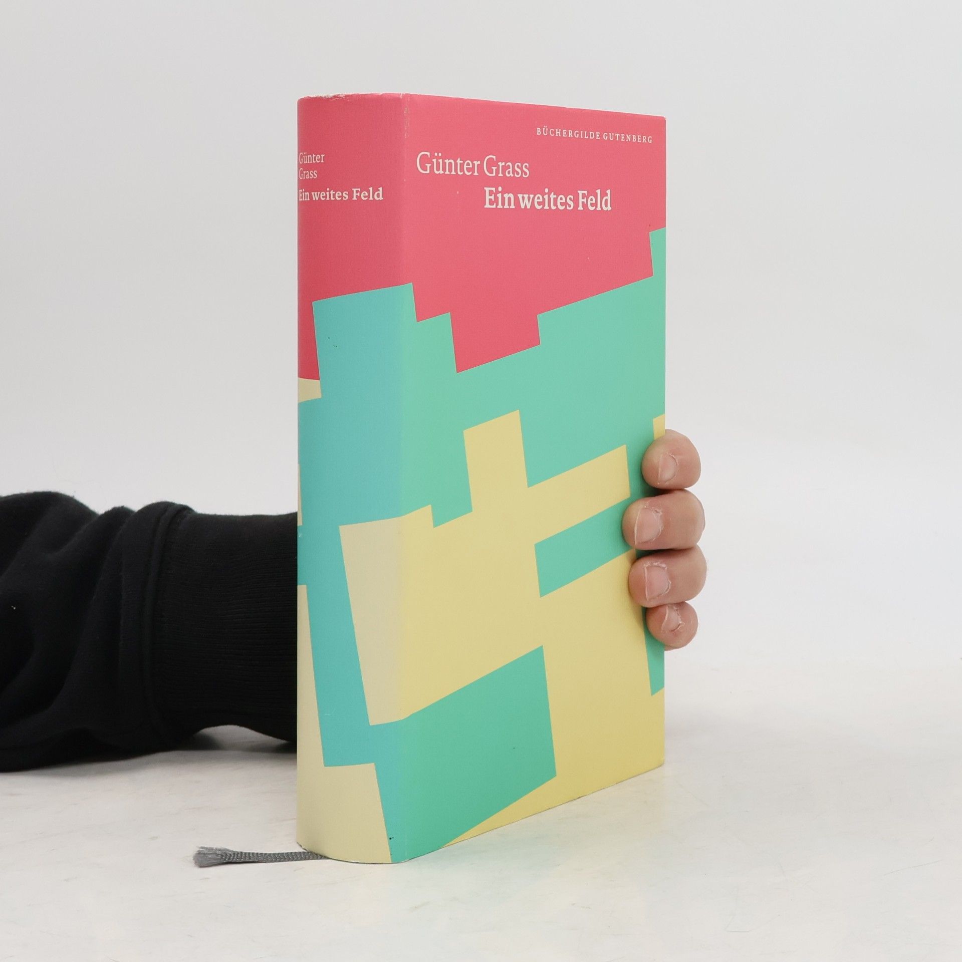 Günter Grass Ein weites Feld