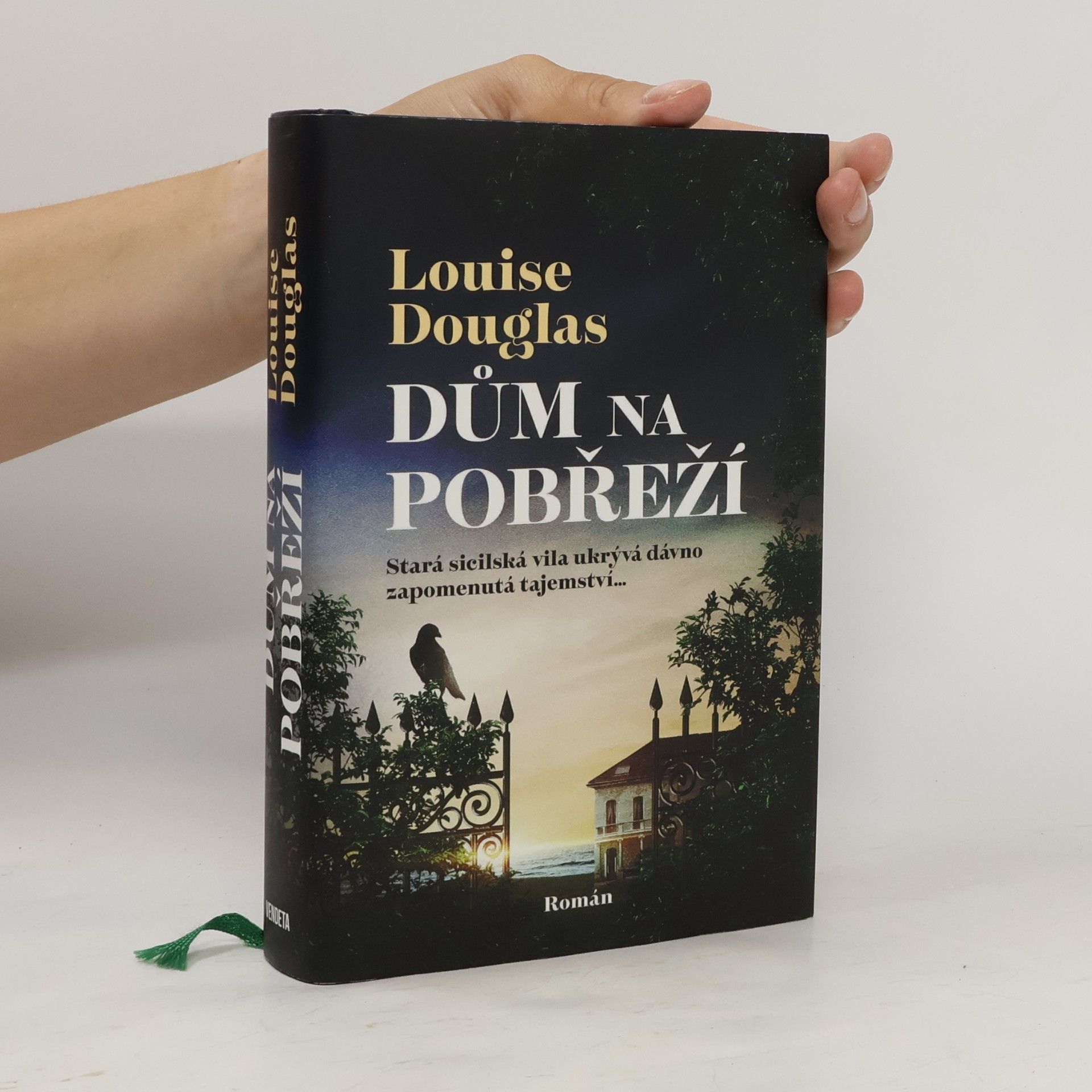 Pavla Koós Dům na pobřeží
