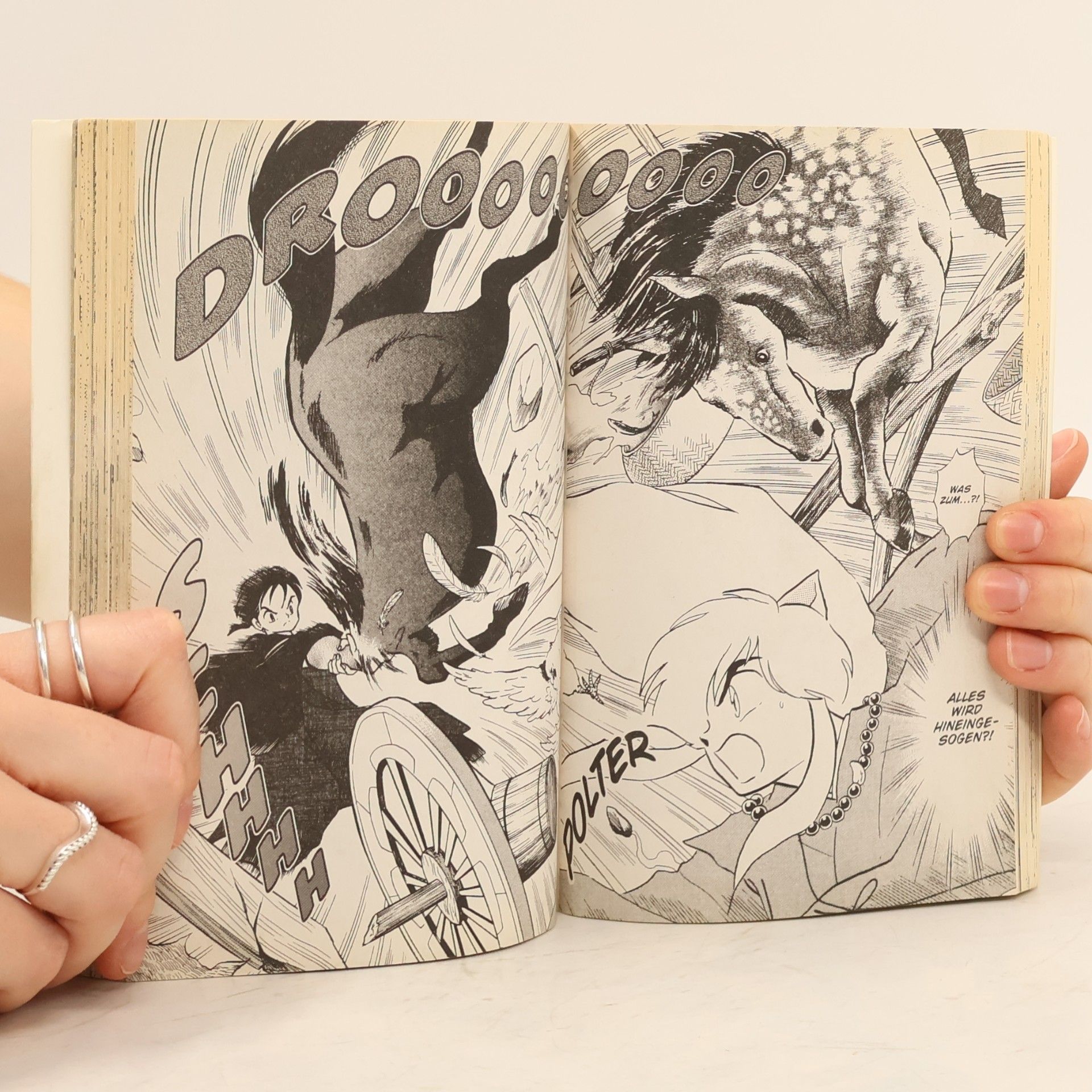 Rumiko Takahashi Inu Yasha vol. 6