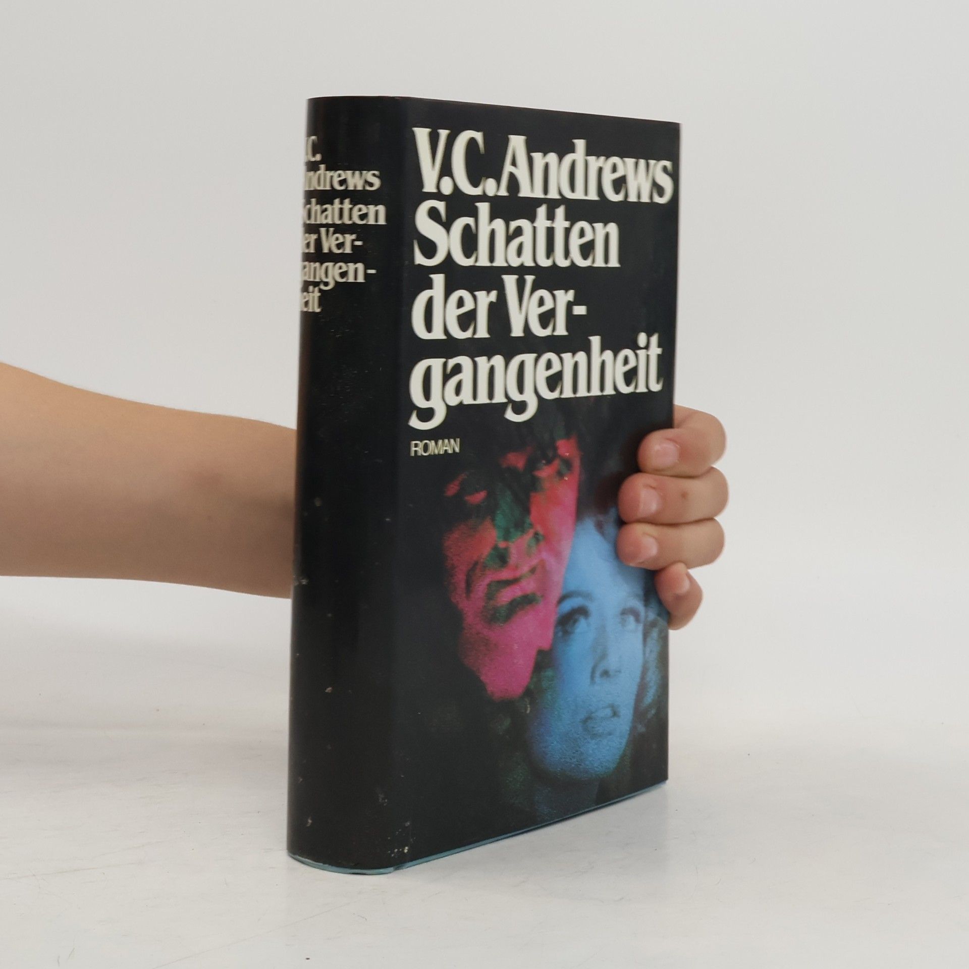 V. C. Andrews Schatten der Vergangenheit