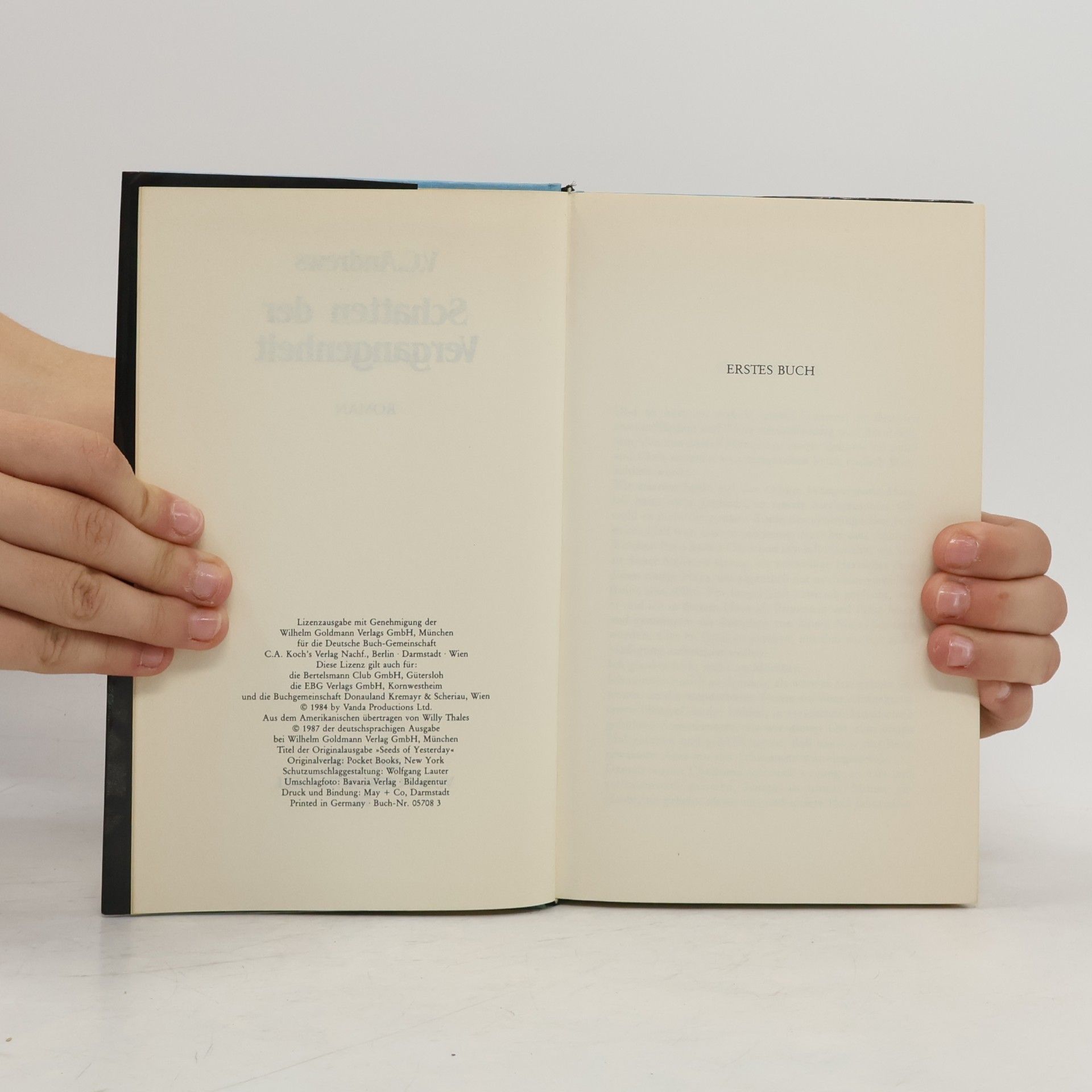 V. C. Andrews Schatten der Vergangenheit