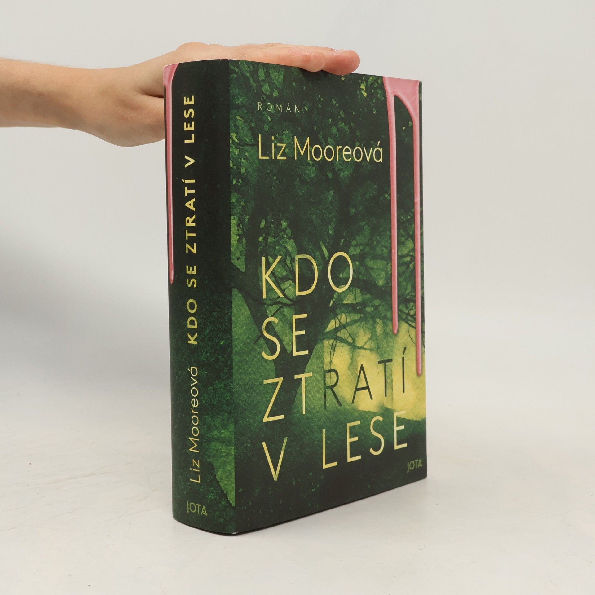 Liz Moore Kdo se ztratí v lese