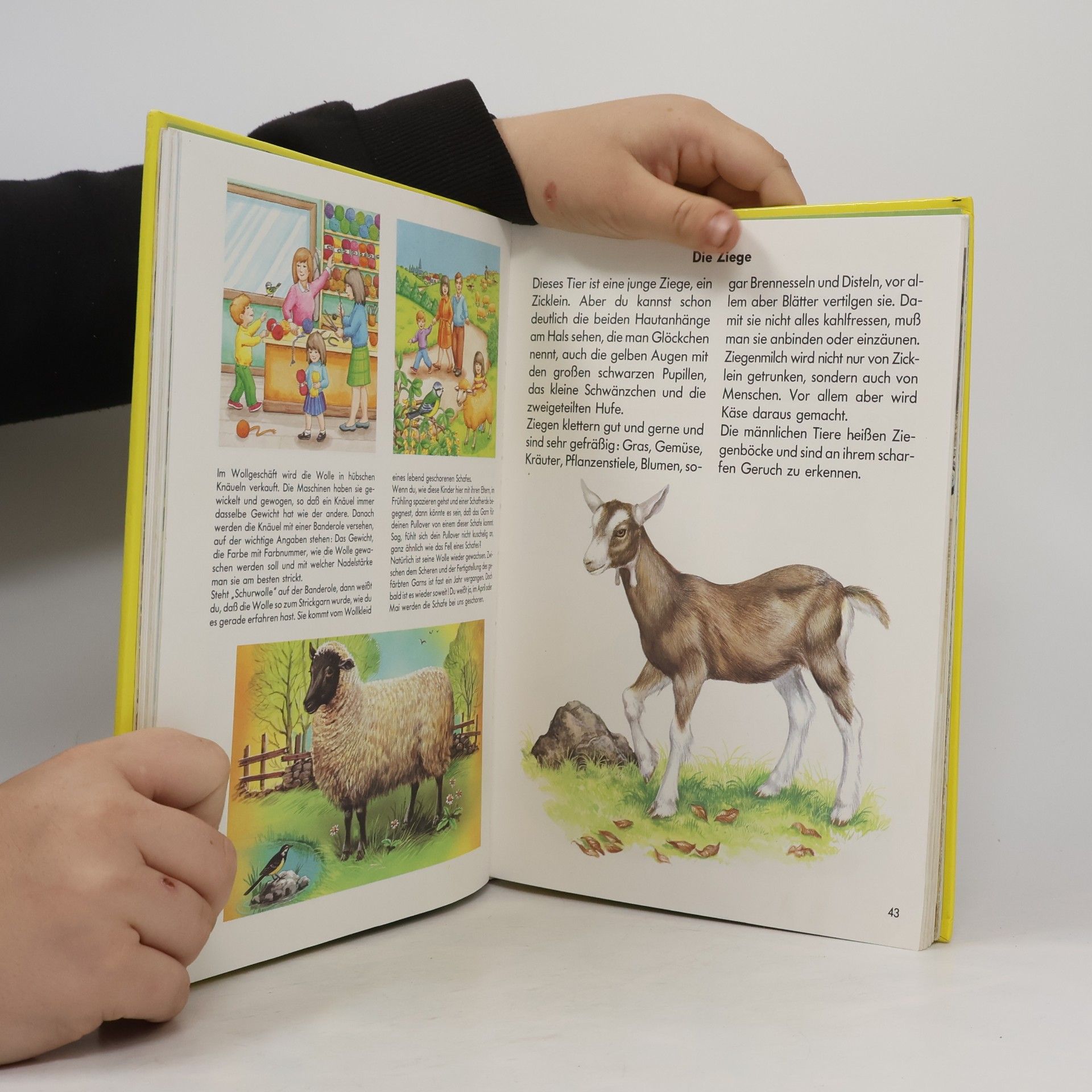 Bob Bampton Das grosse Geschichtenbuch vom Bauernhof