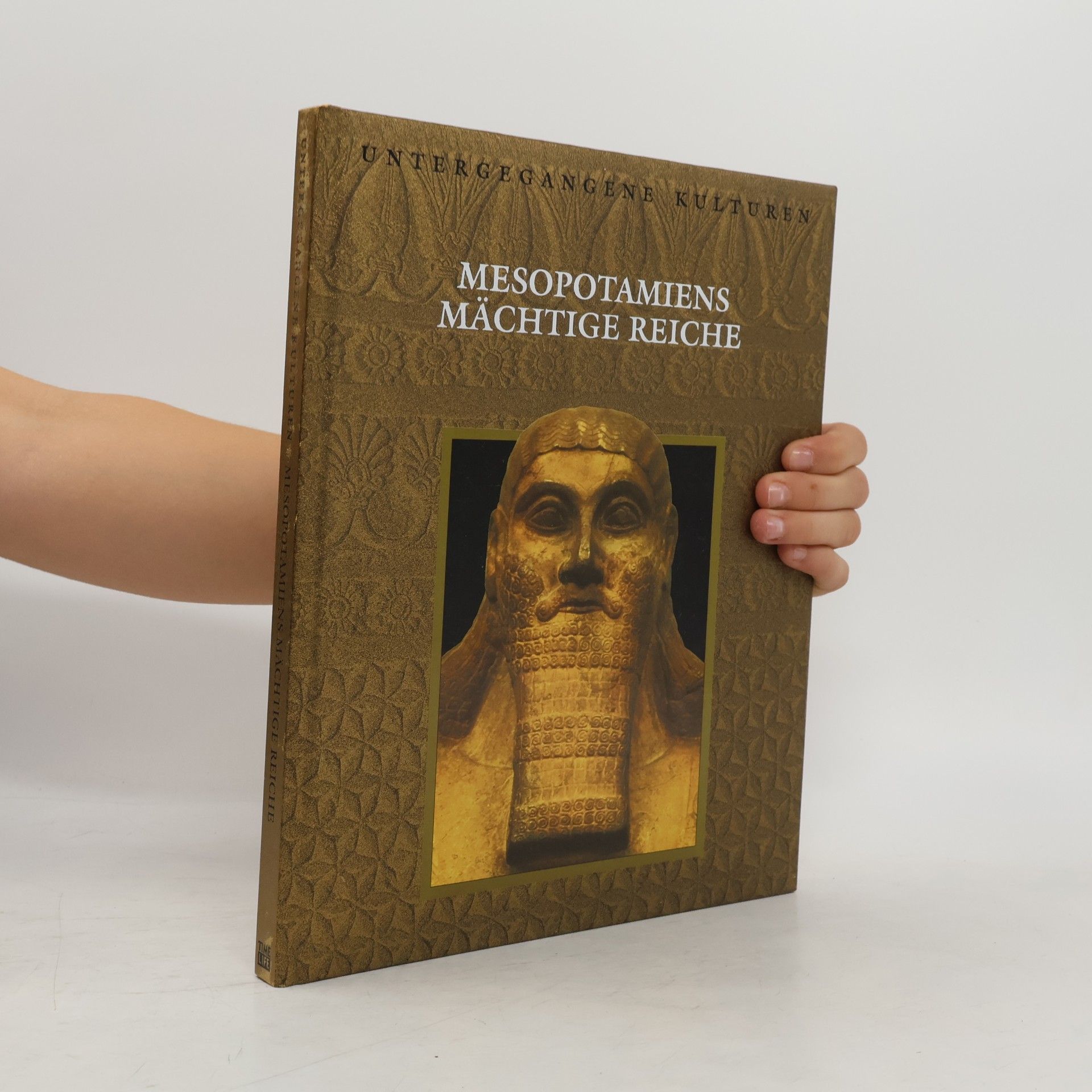 Autores varios Mesopotamiens mächtige Reiche