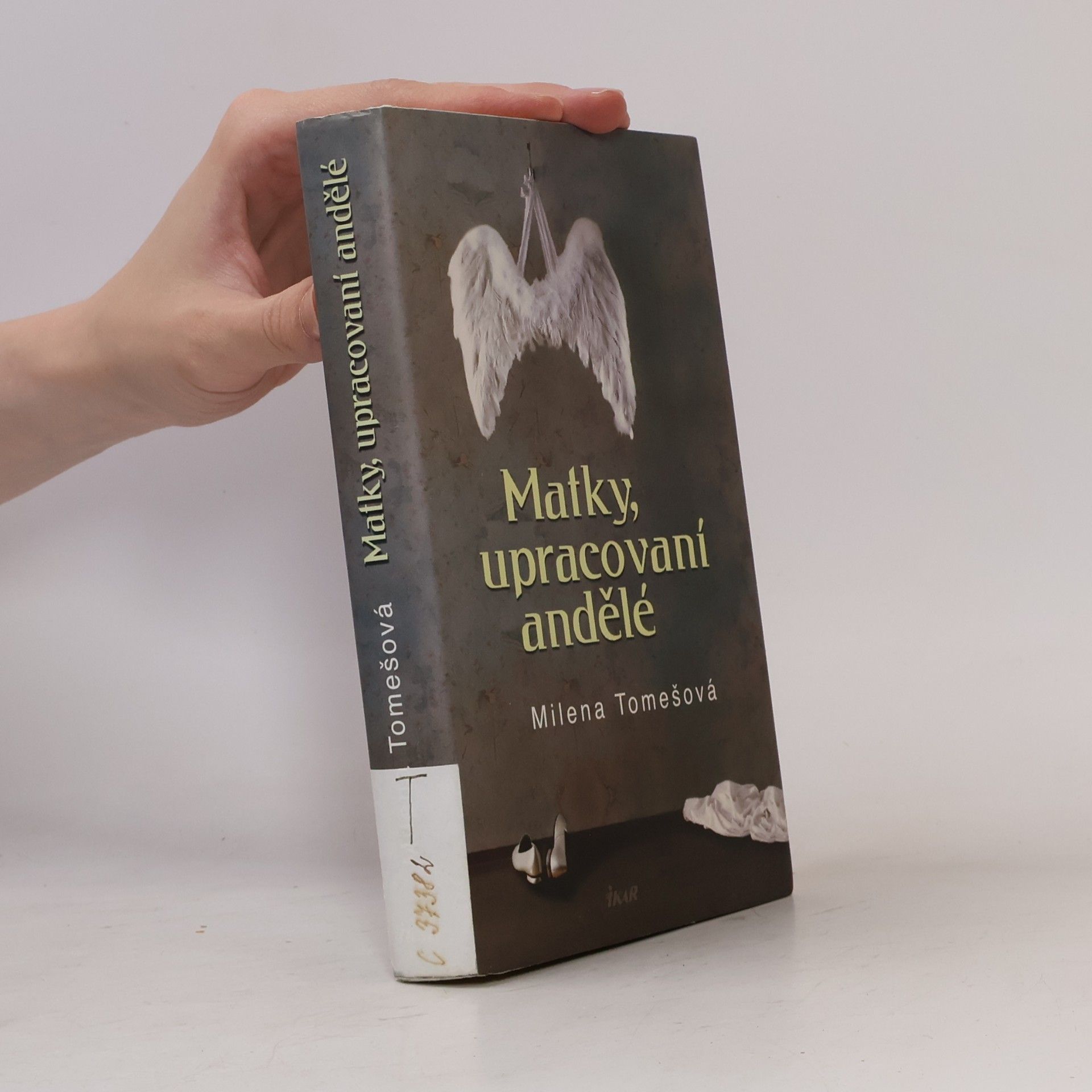 Tomešová Milena Matky, upracovaní andělé