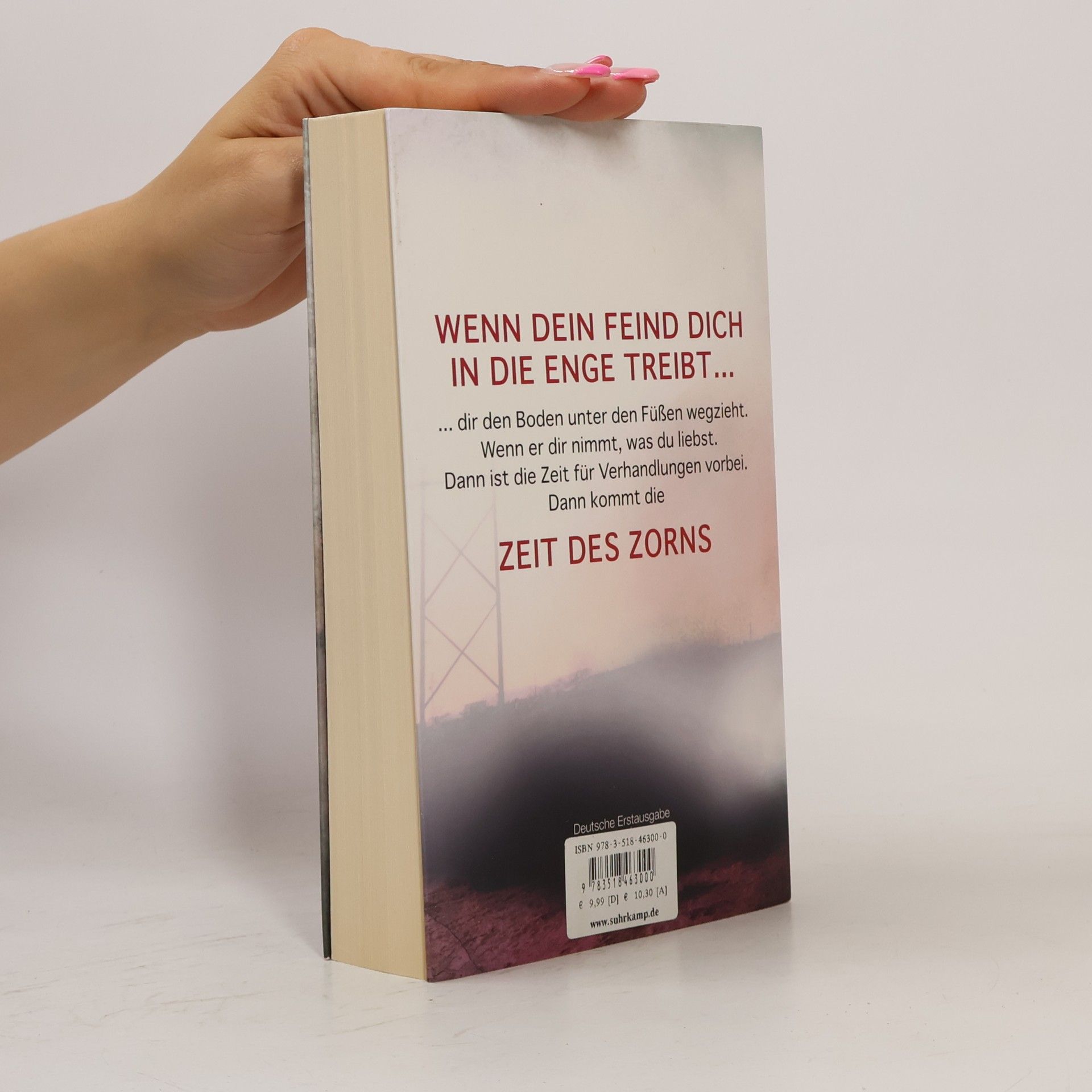 Don Winslow Zeit des Zorns