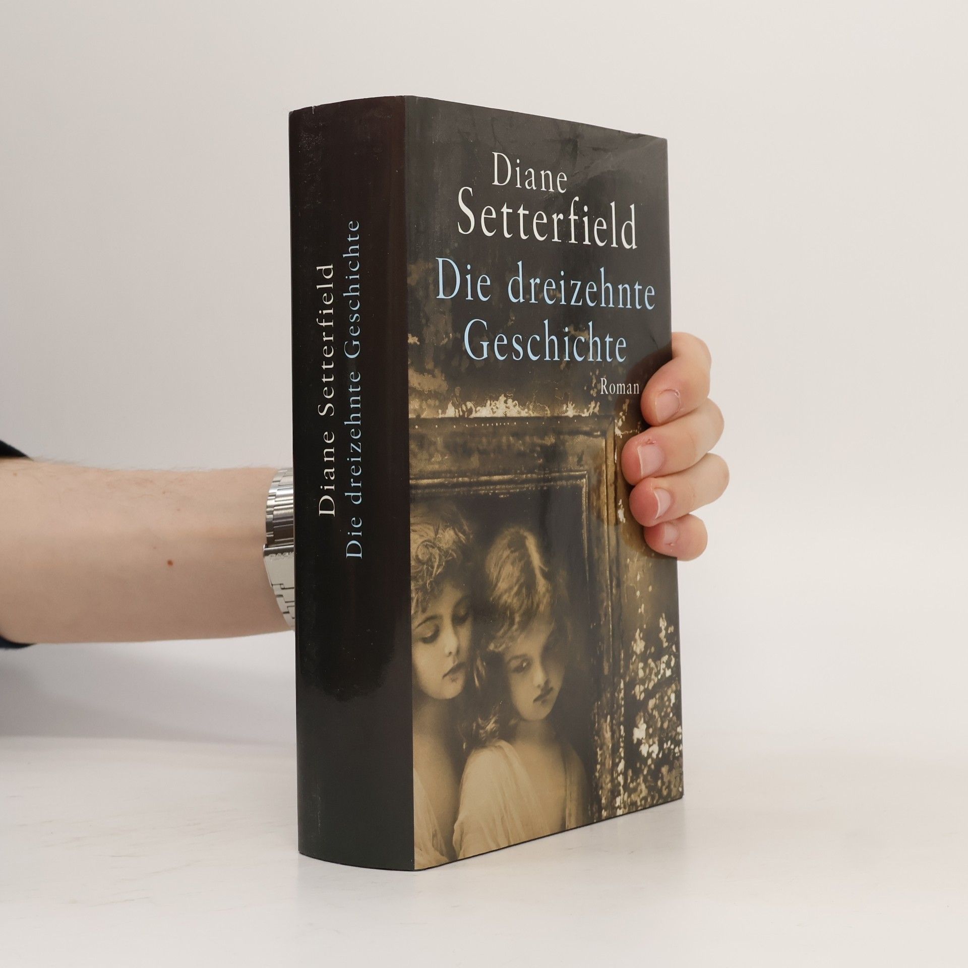 Diane Setterfield Die dreizehnte Geschichte