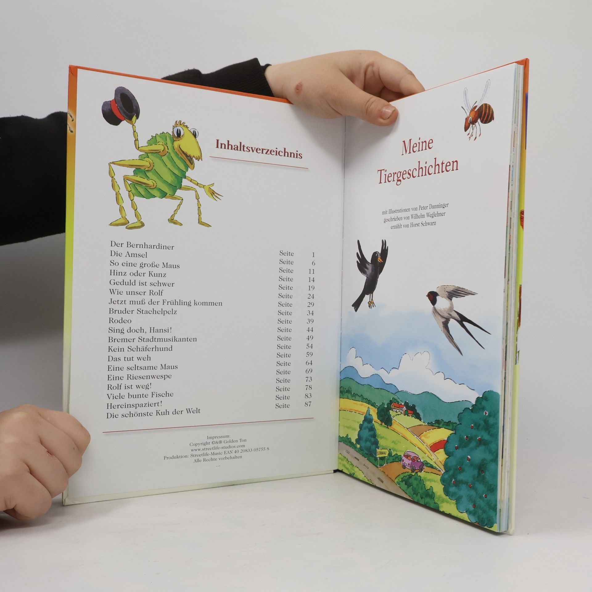 Autorenkollektiv Meine Tiergeschichten