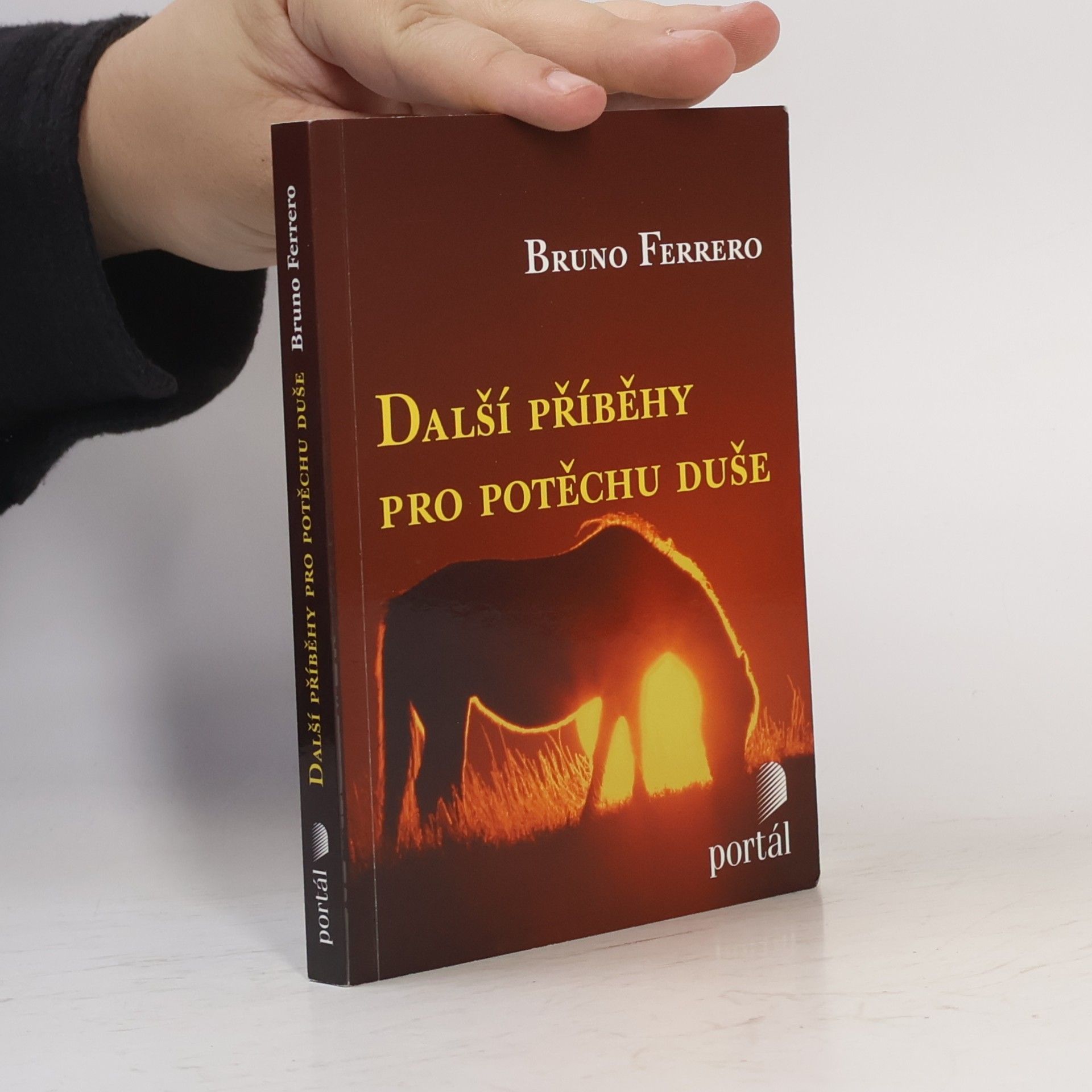 Bruno Ferrero Další příběhy pro potěchu duše